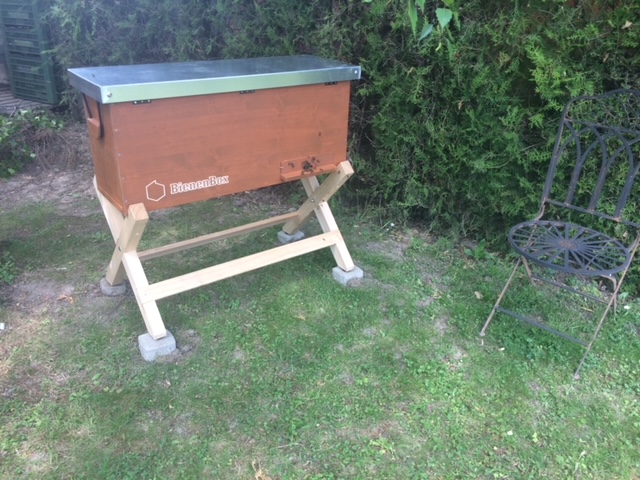 Bienenbox und Citybox: Jungvolk mit Bio ReinzuchtKönigin Carnica , GJ 2026, weiß gezeichnet