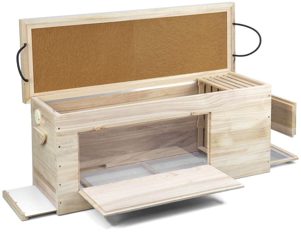 Bienenbox und Citybox: Jungvolk mit Bio Königin, GJ 2026 weß markiert