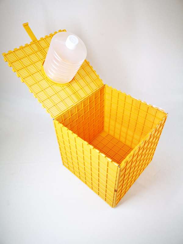 Kunstschwarm mit 1,5 kg Bienen, Carnica Bio Reinzuchtkönigin, Gj. 2026, weiß gezeichnet