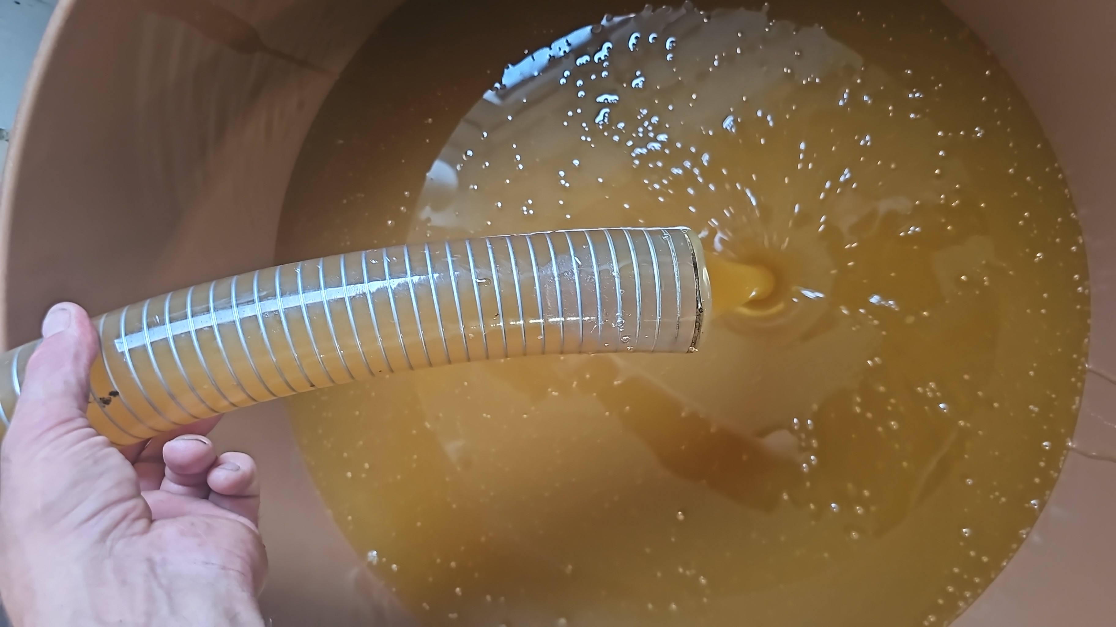 Frühblütenhonig Ernte2024 mit Analyse Dib Qualität