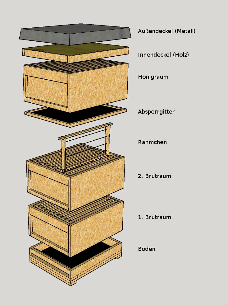 Ableger Zander voll 4 Waben, Bio Reinzuchtkönigin Carnica, Gj. 2026, weiß gezeichnet