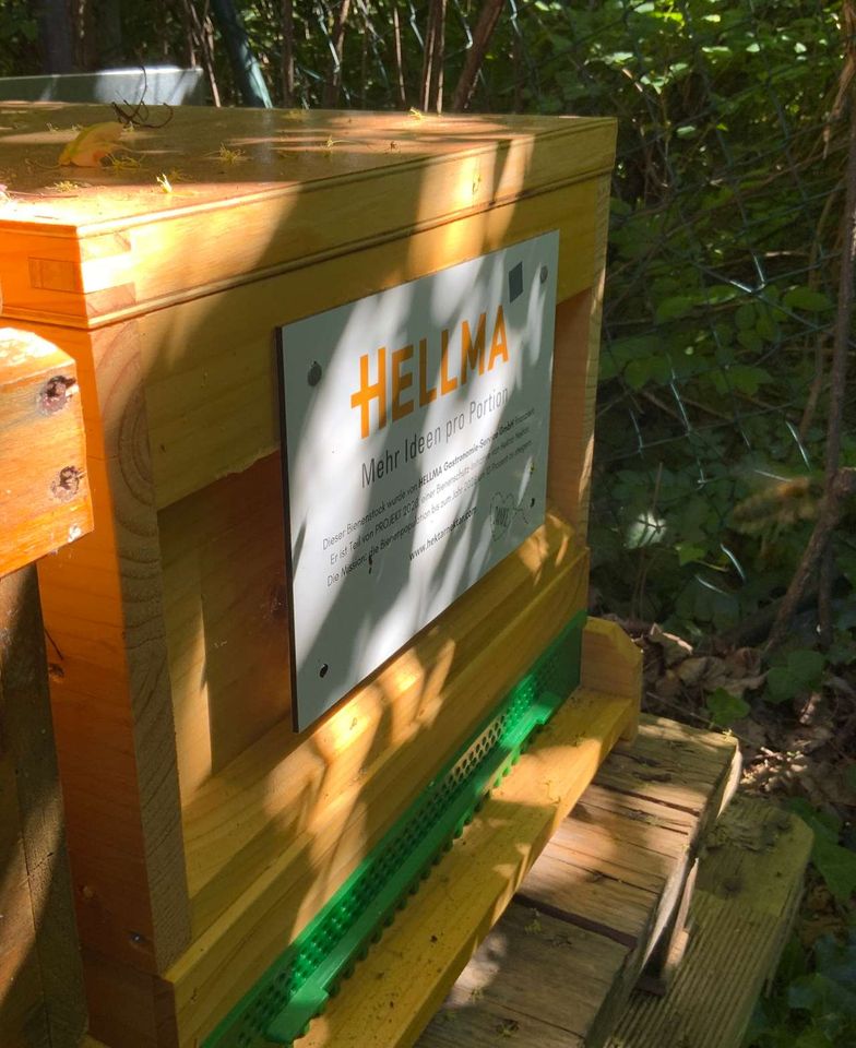 Die Bienen sind da Bild 4