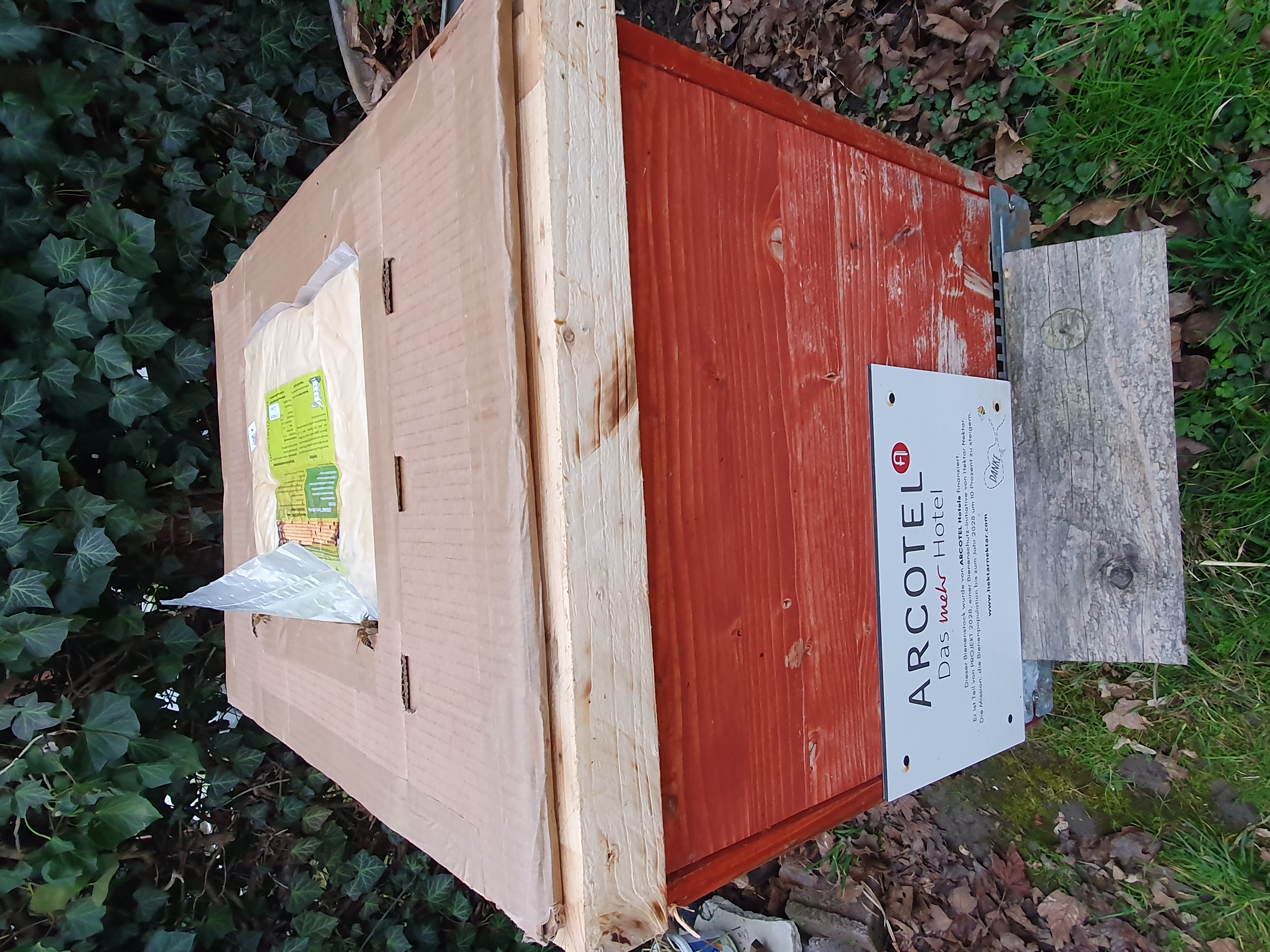 Sie sind über den Winter gekomnen