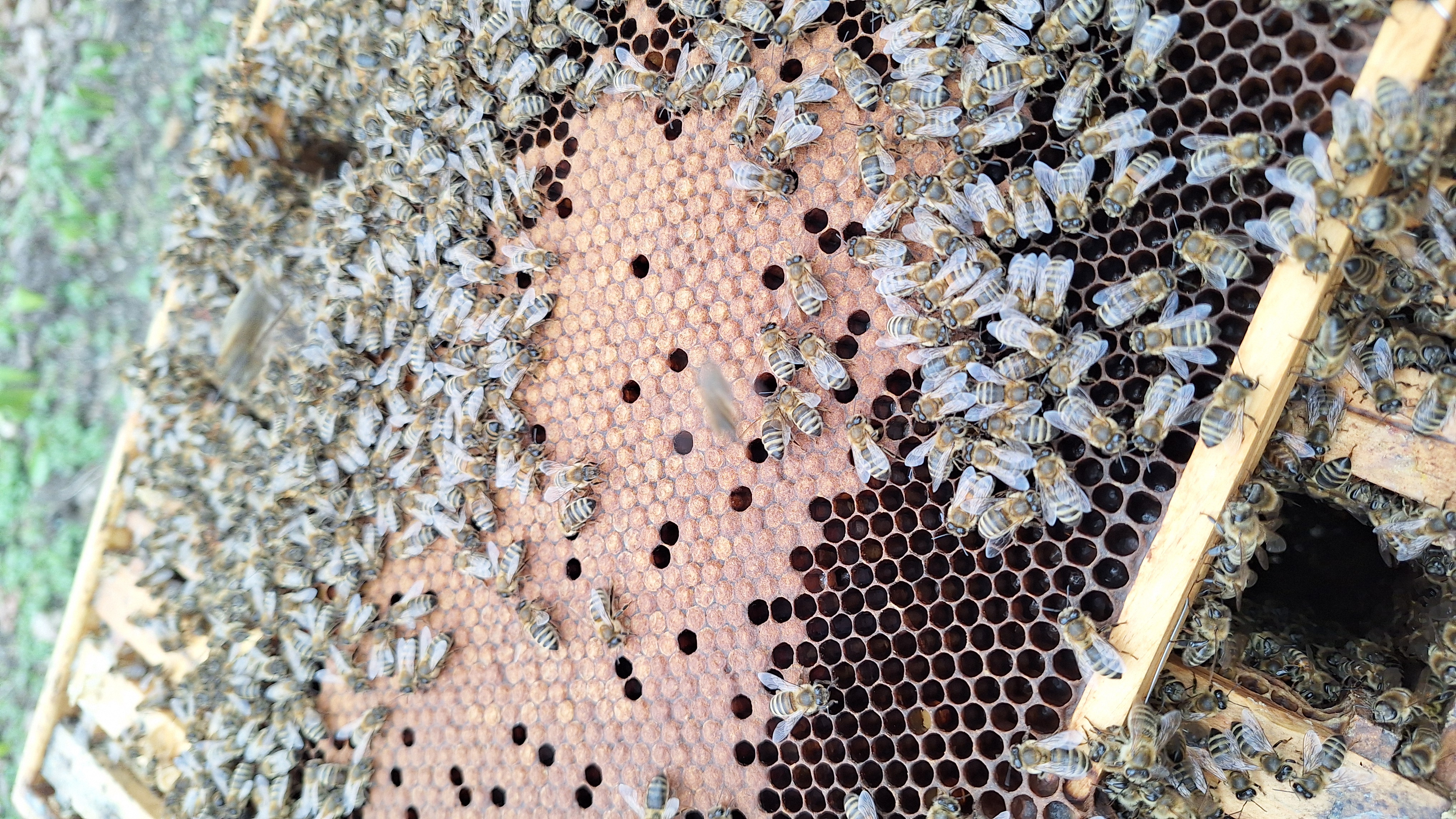 März – Frühlingserwachen und erste Futterkontrolle Bild 1