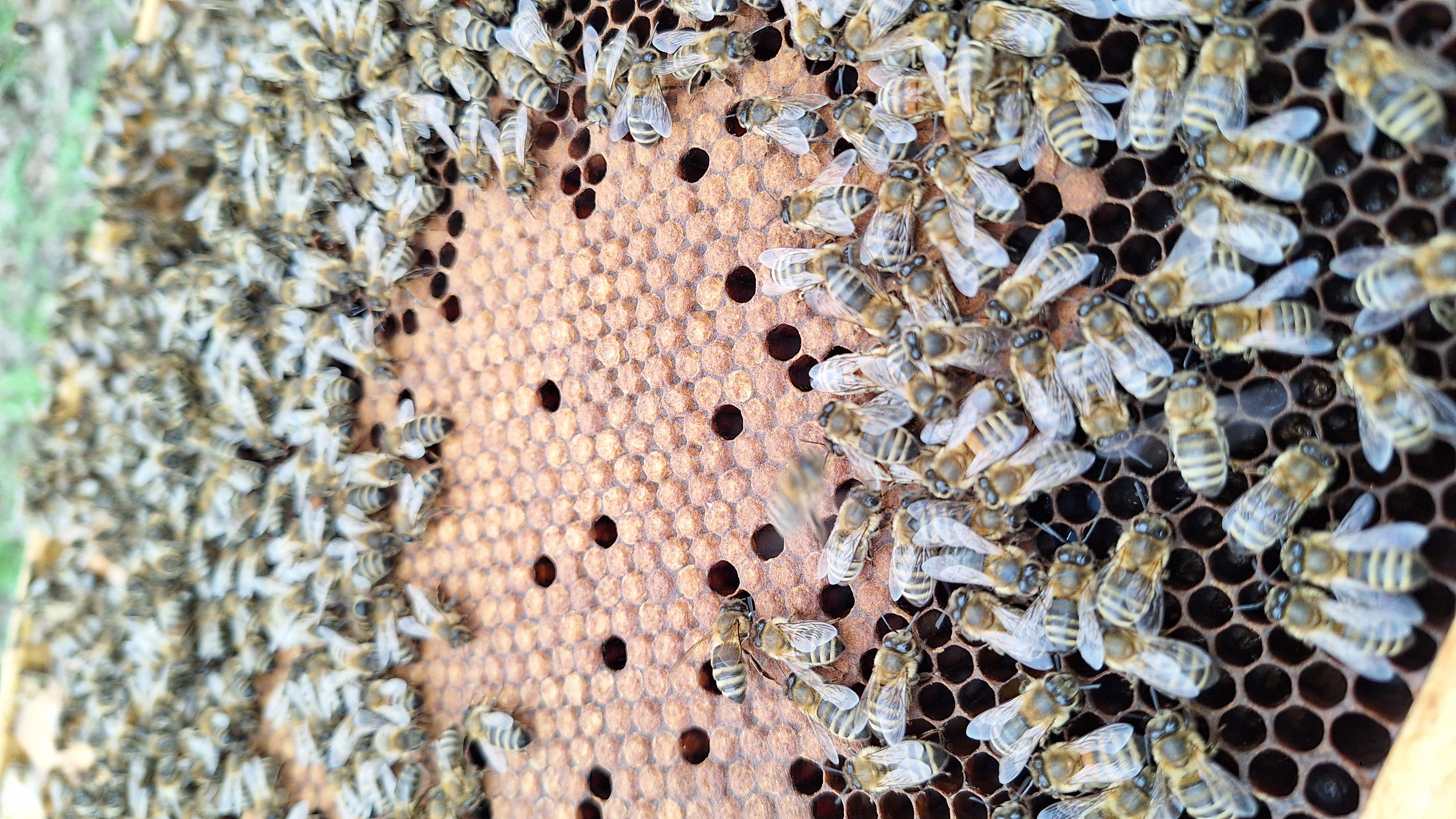 März – Frühlingserwachen und erste Futterkontrolle Bild 2