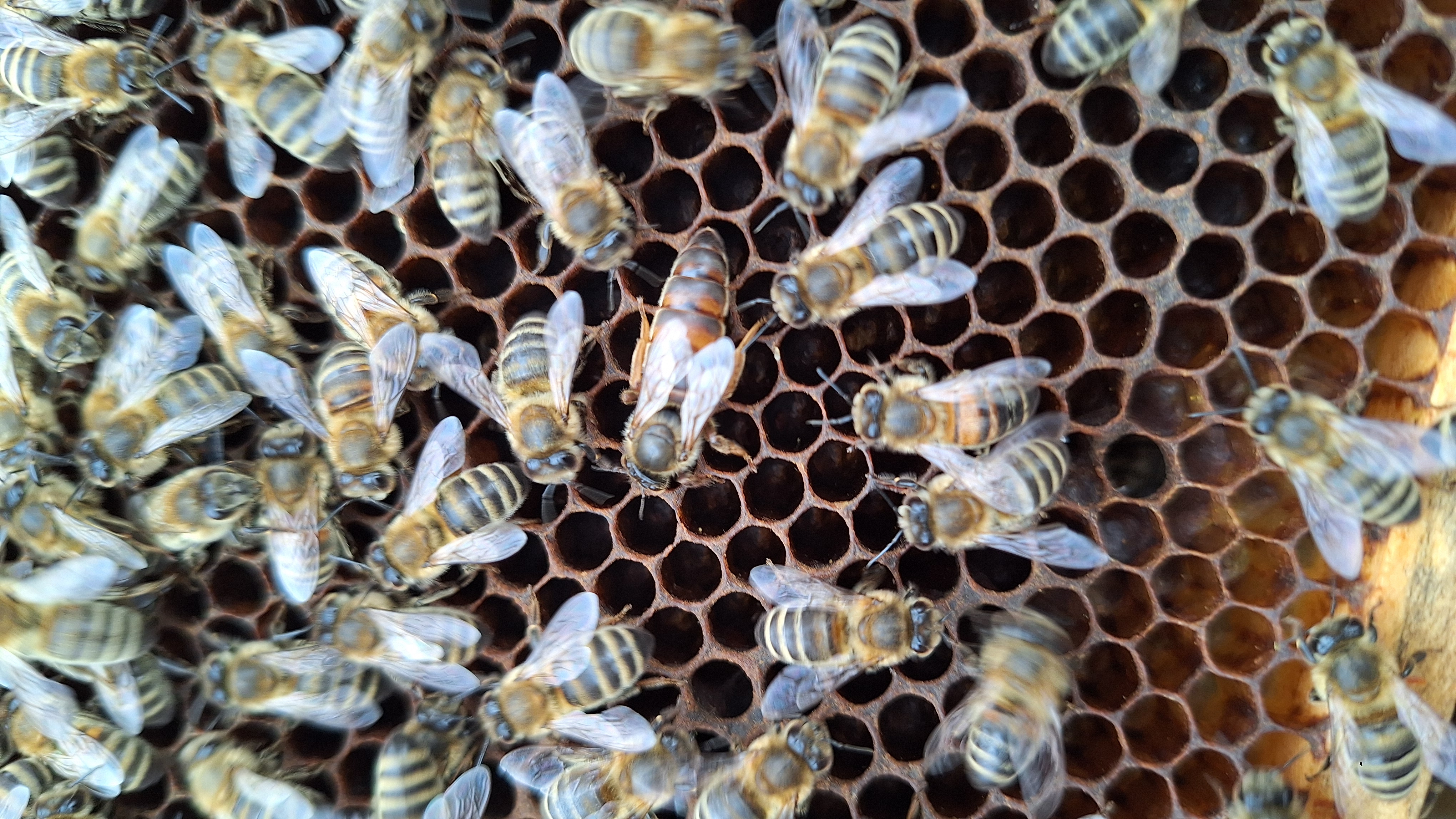 März – Frühlingserwachen und erste Futterkontrolle Bild 3