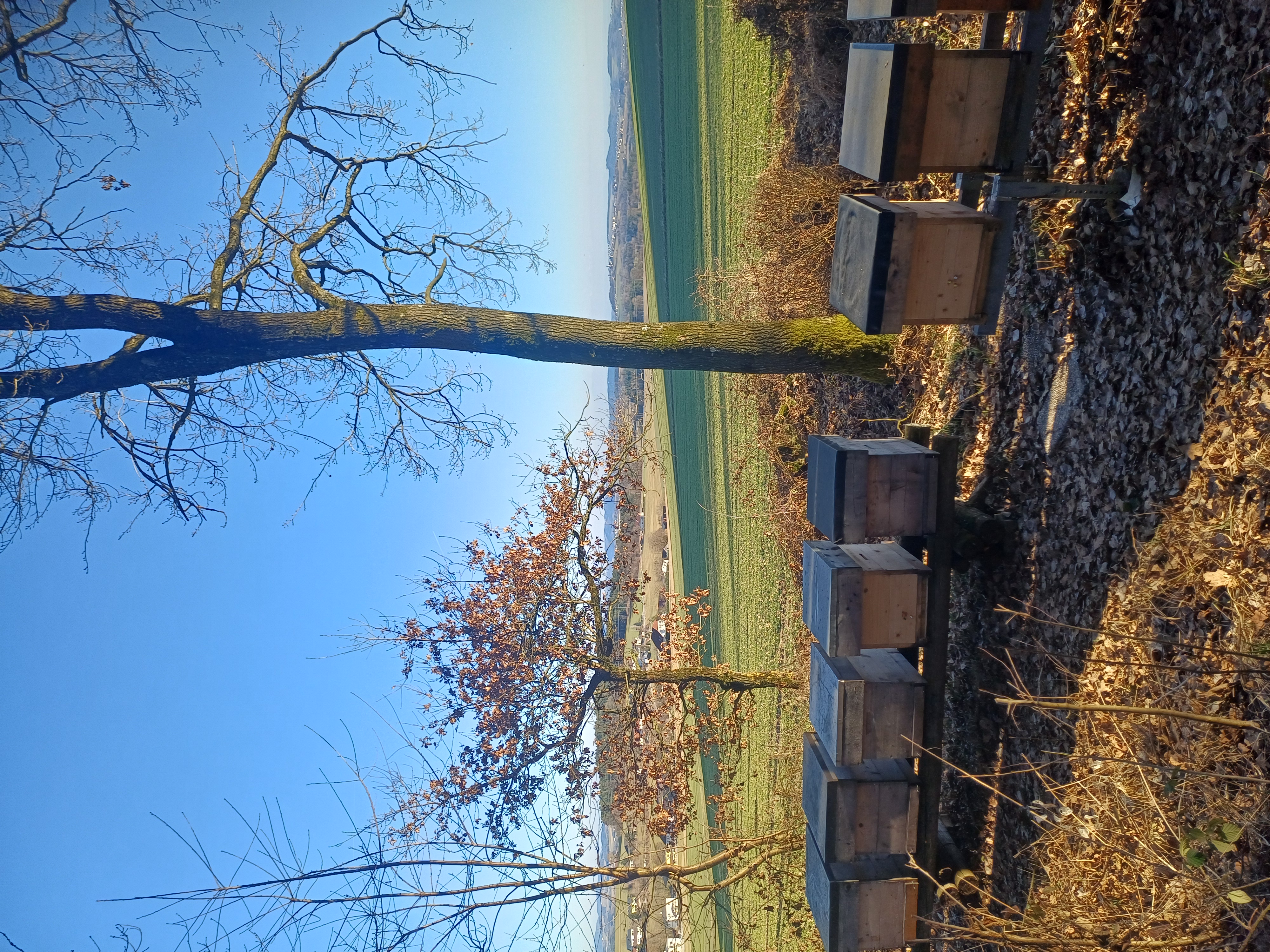 Frühjahrsstart am Bienenstand