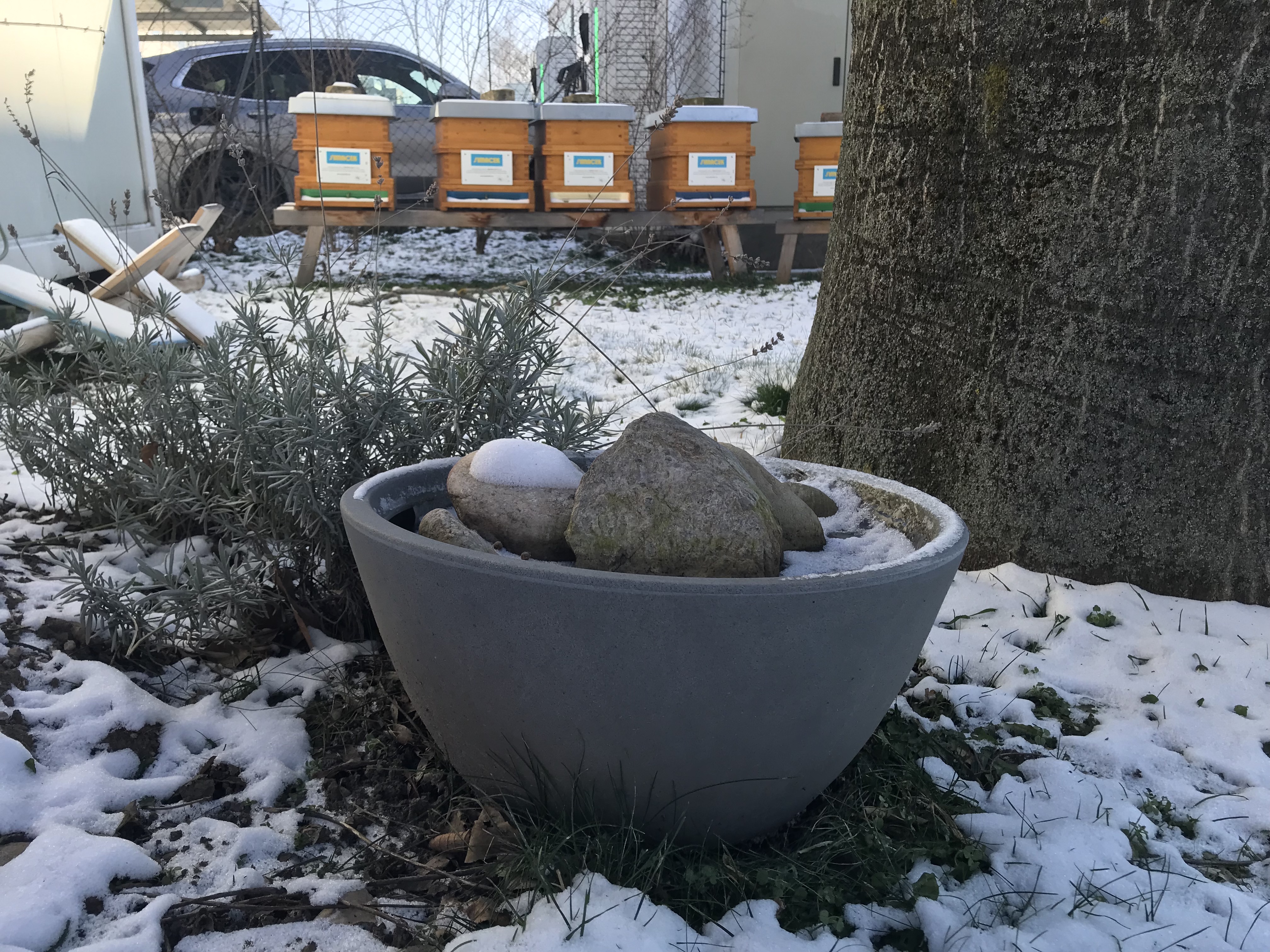 Schlummern bis zum Frühling.