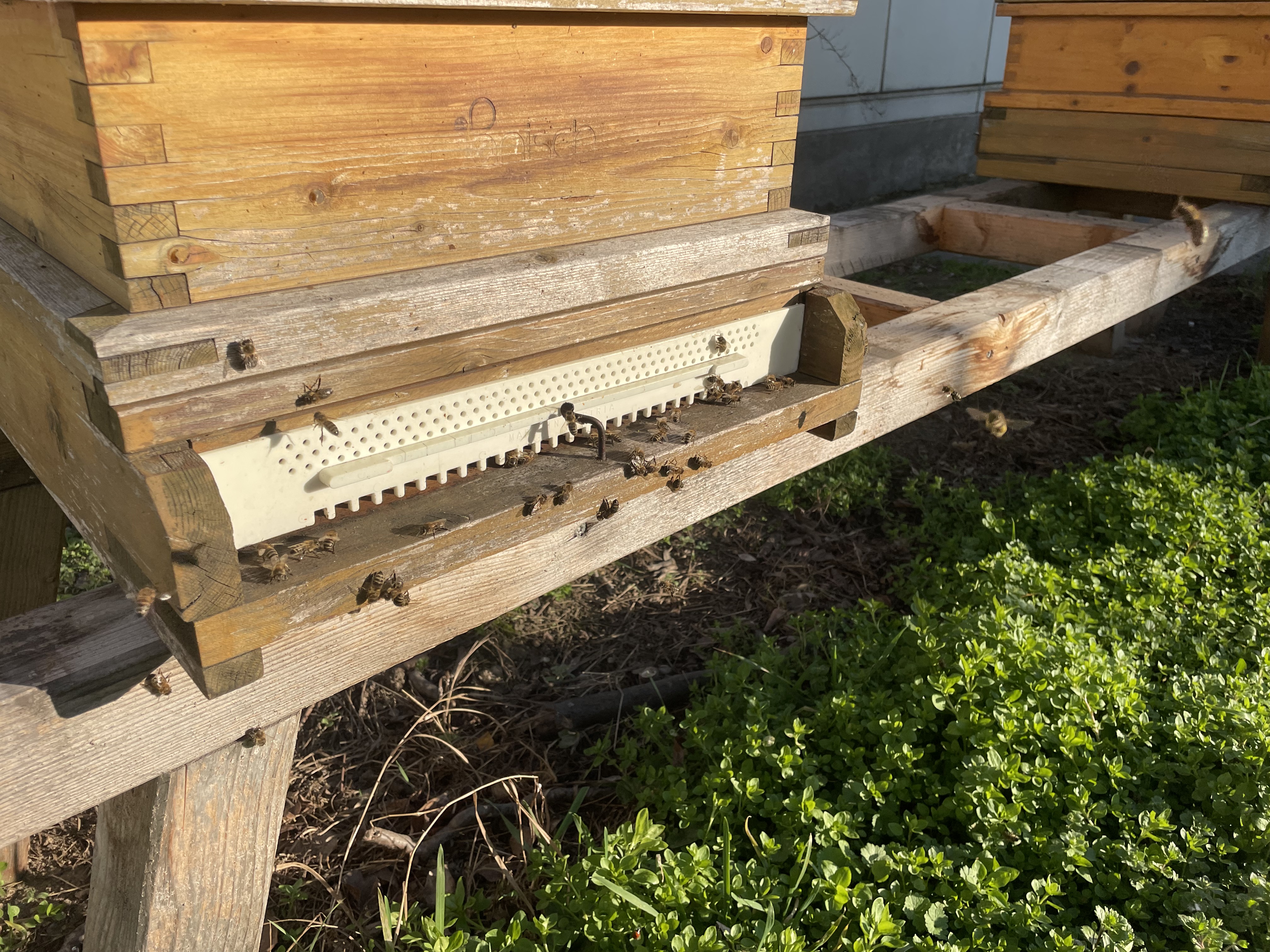 Erste Kontrolle nach dem Winter.