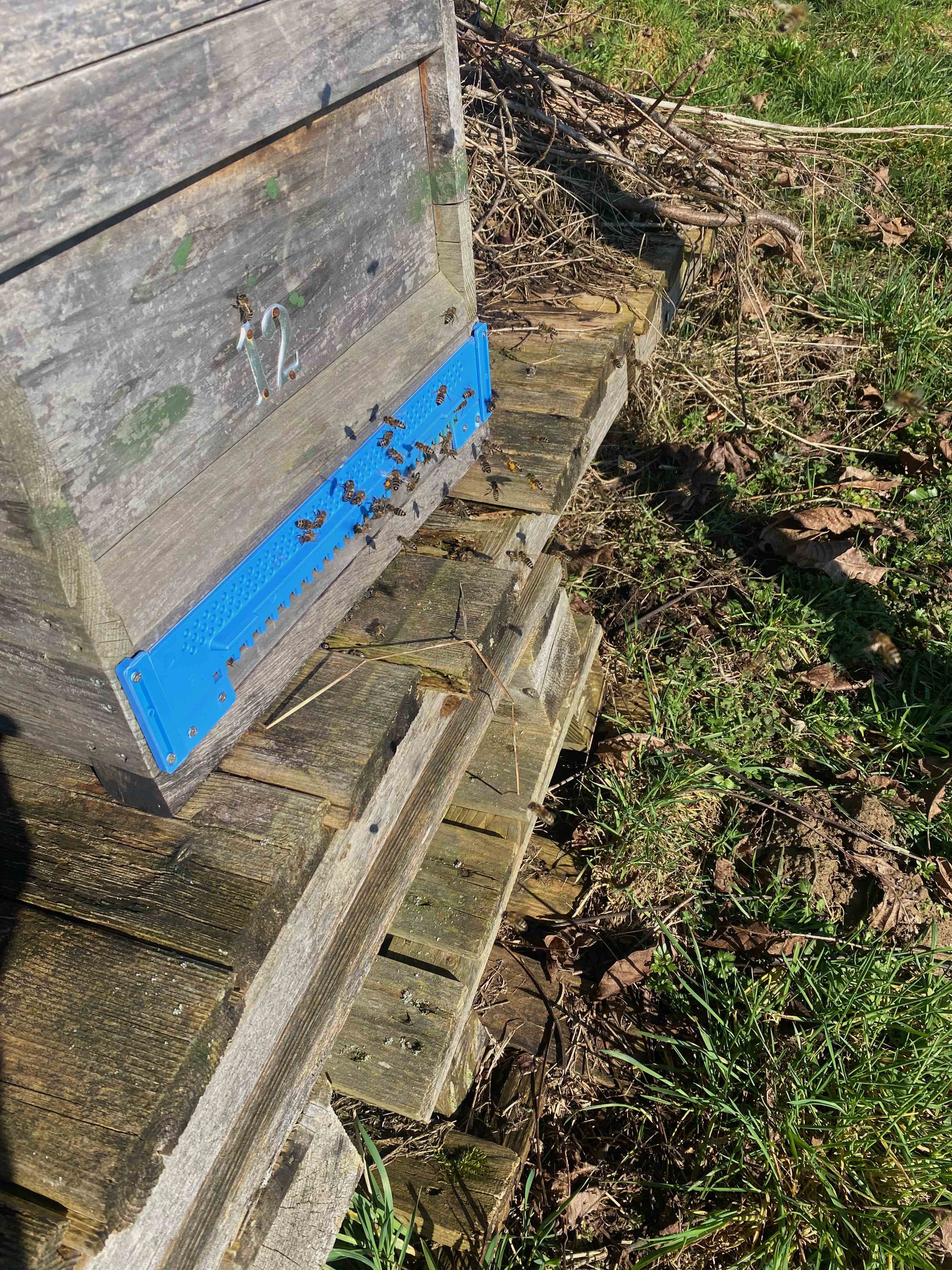 Erste Sonnenstrahlen im März.