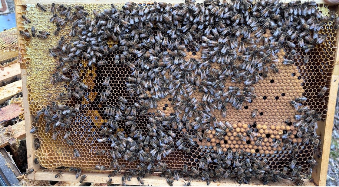 Ein ver-rückter März