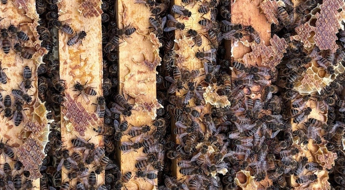 Ein ver-rückter März Bild 1