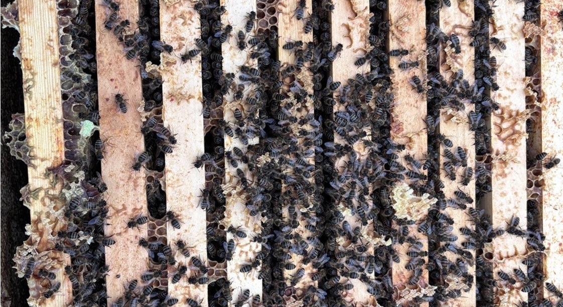 Ein ver-rückter März Bild 2