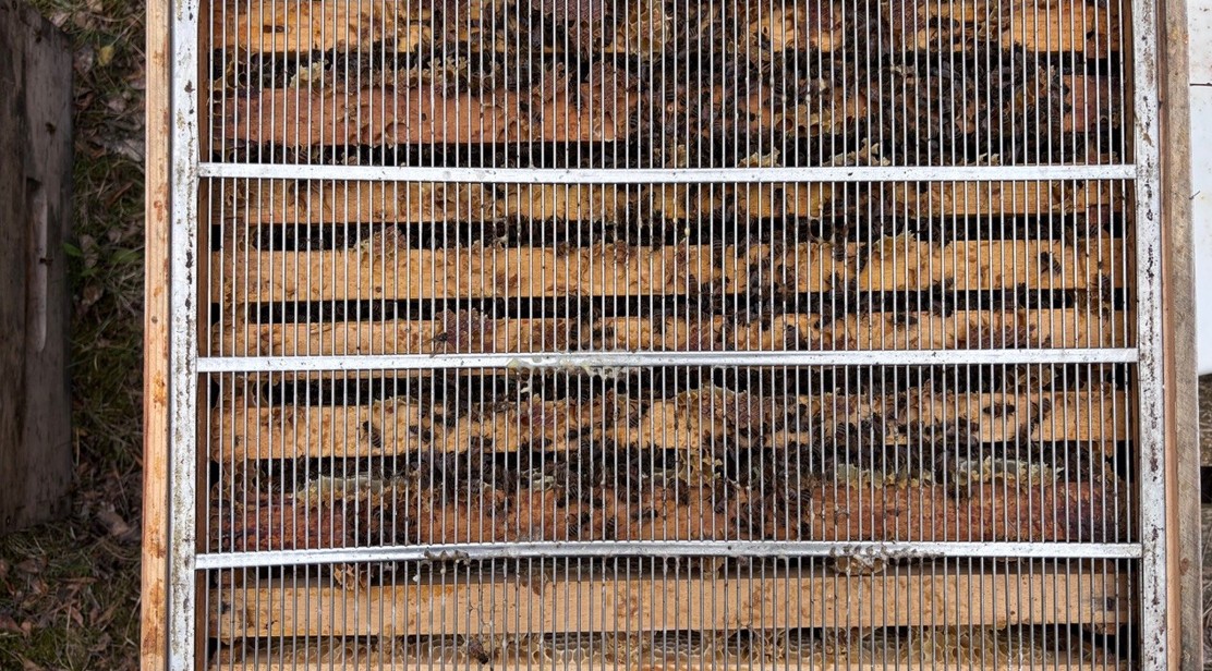 Ein ver-rückter März Bild 3