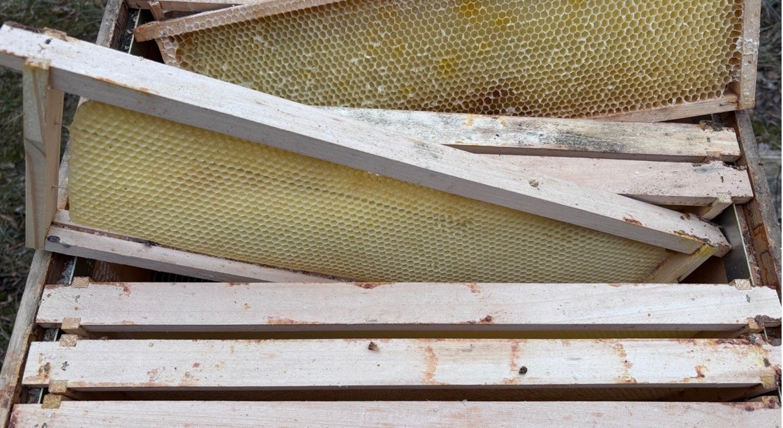 Ein ver-rückter März Bild 4