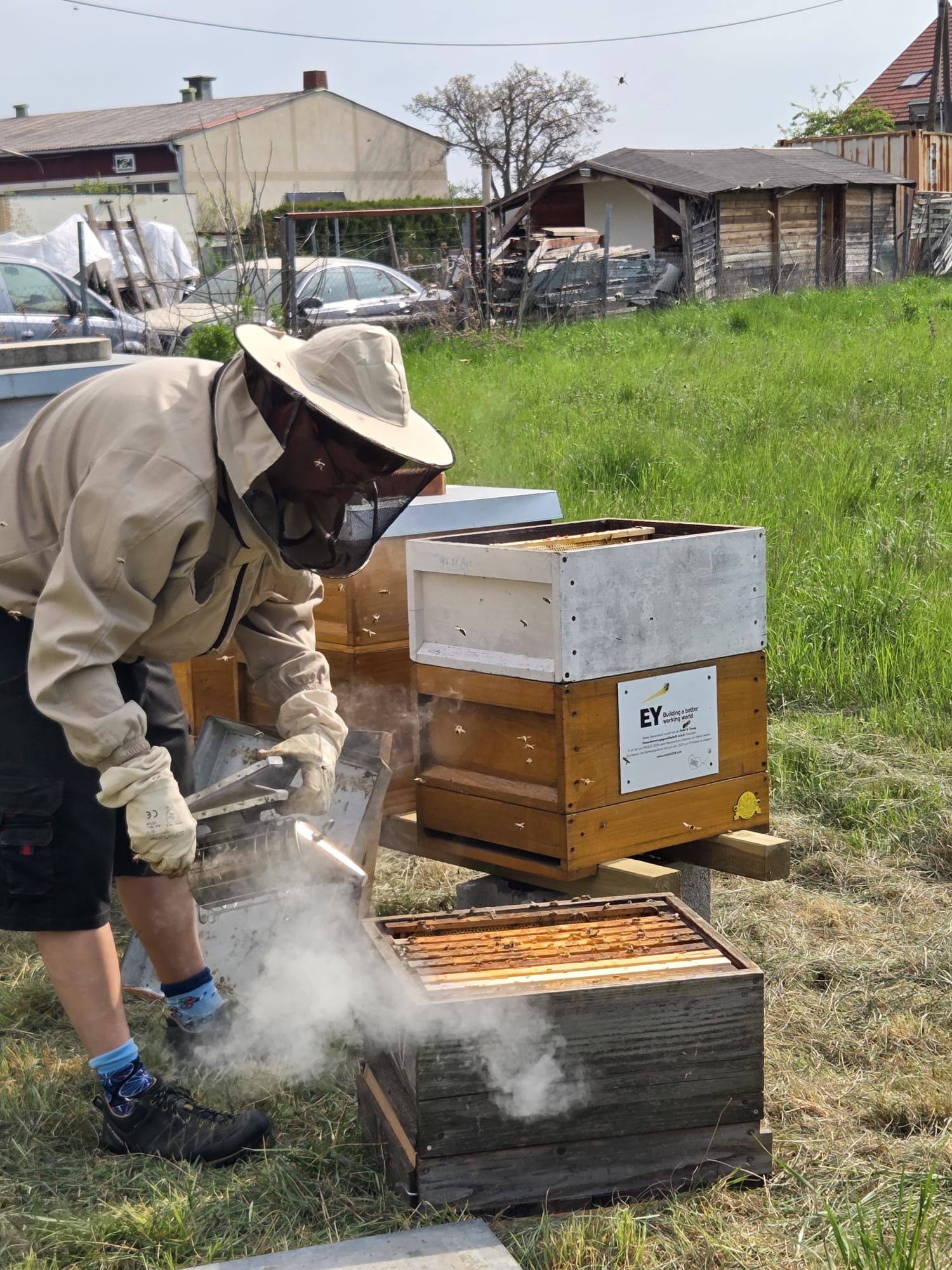 Fressrausch … oder Mäci Bienenstyle Bild 1
