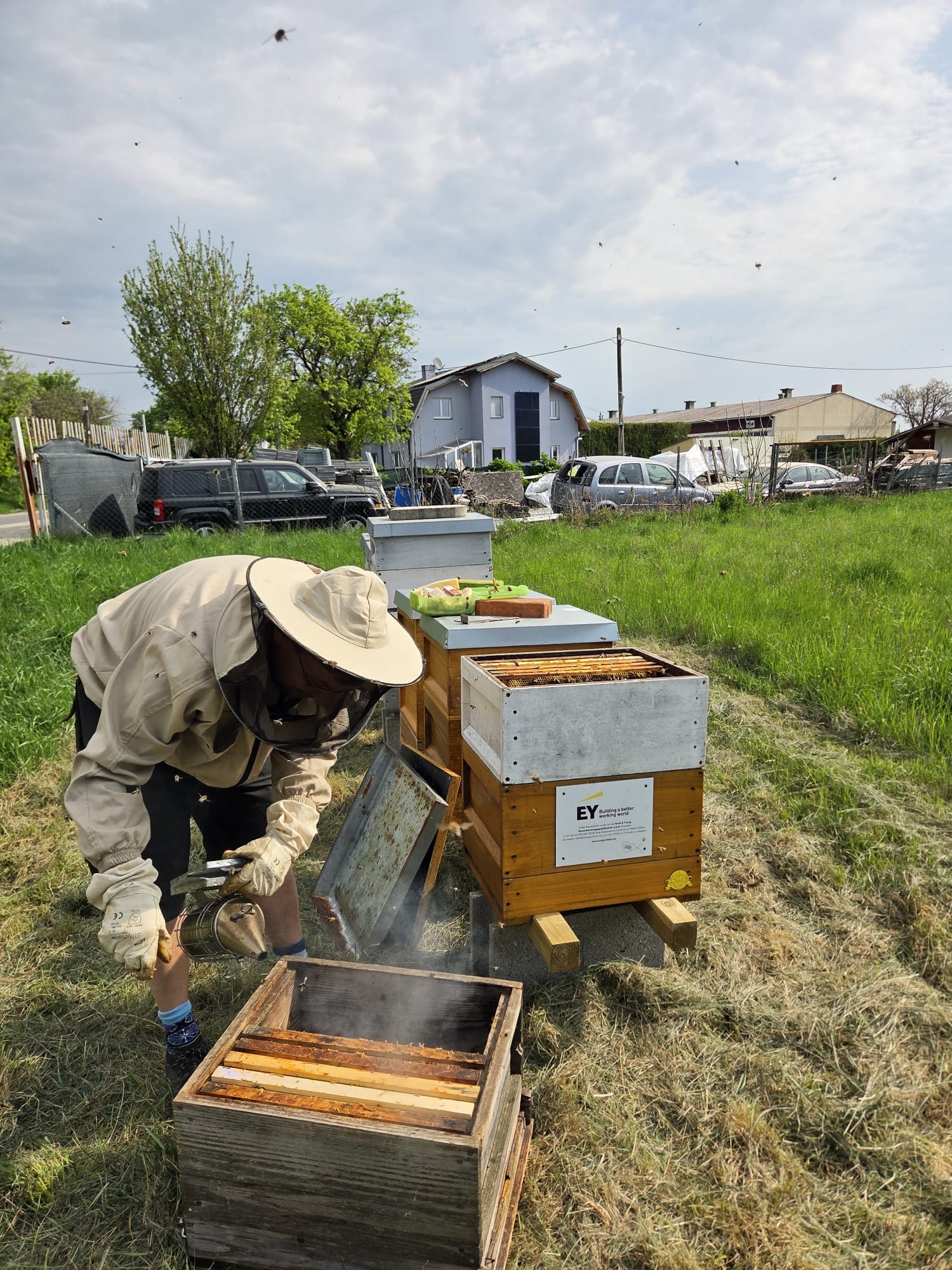 Fressrausch … oder Mäci Bienenstyle Bild 2