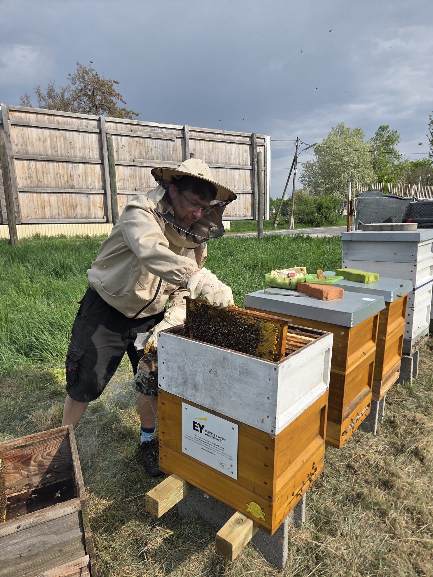 Fressrausch … oder Mäci Bienenstyle Bild 3