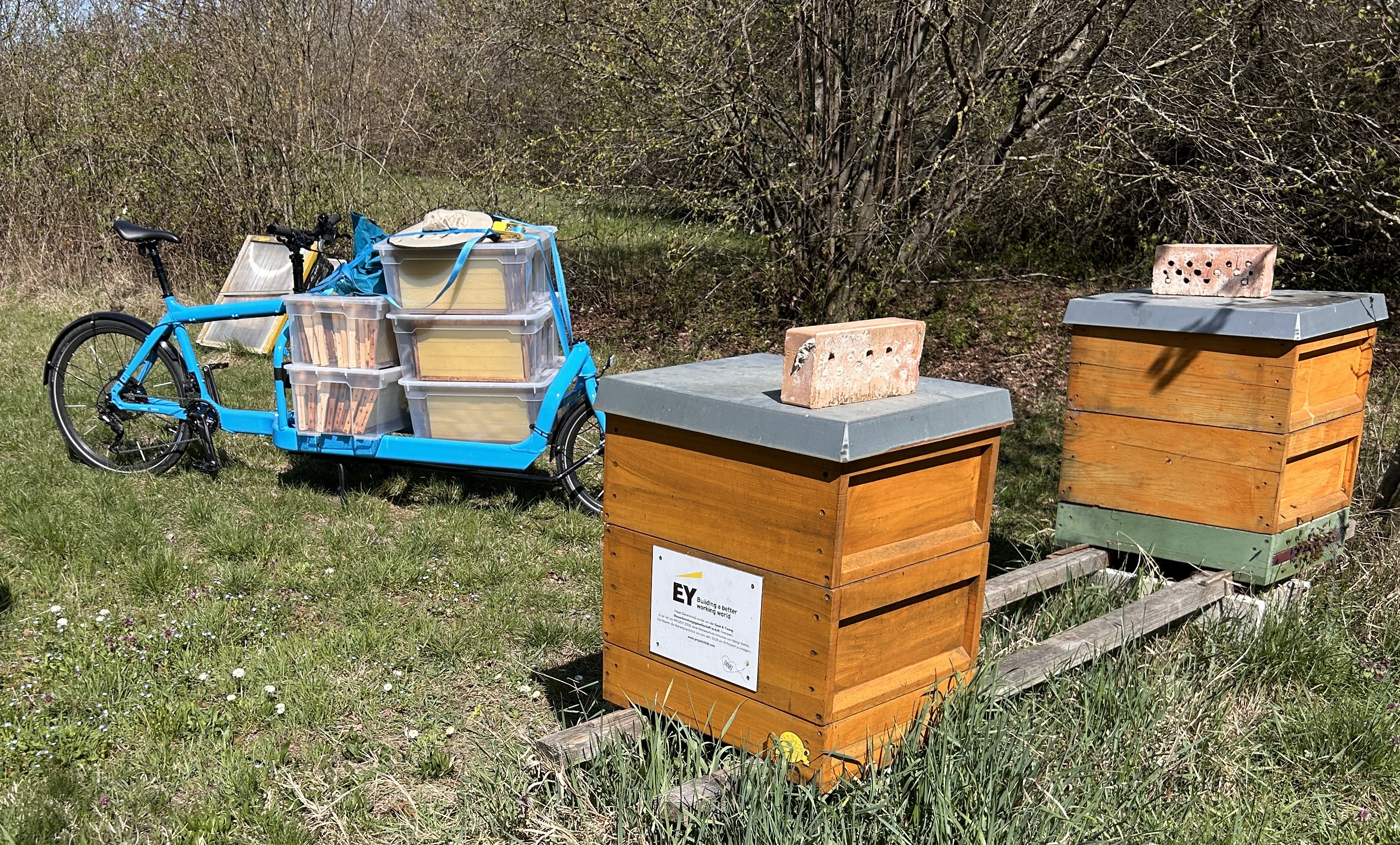 Das Hobby erleichtert sowohl den Bienen als auch mir.