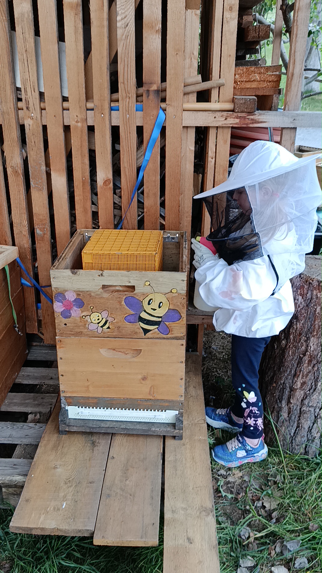 Bienenarbeiten im Mai und Juni Bild 1