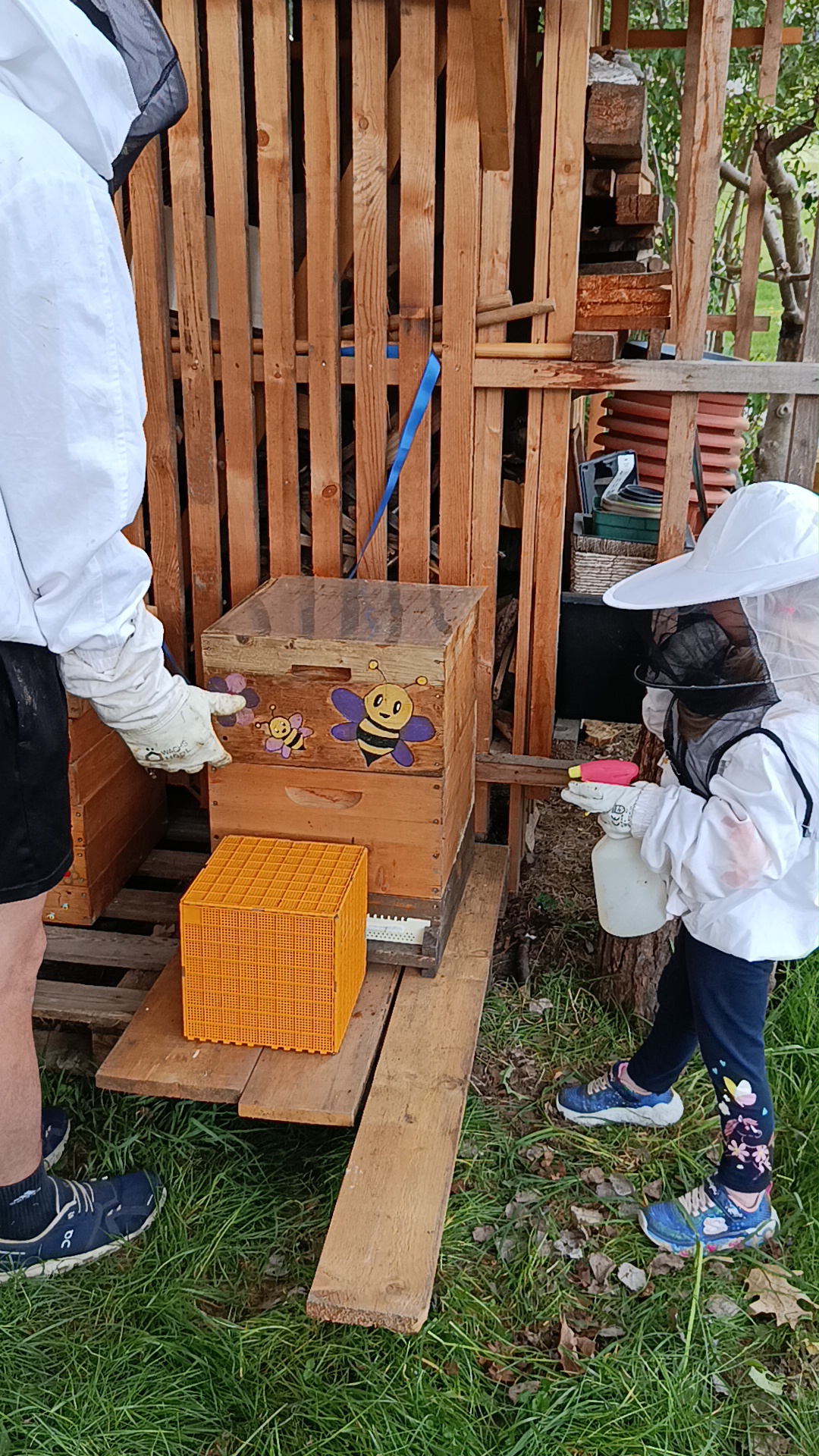 Bienenarbeiten im Mai und Juni Bild 2