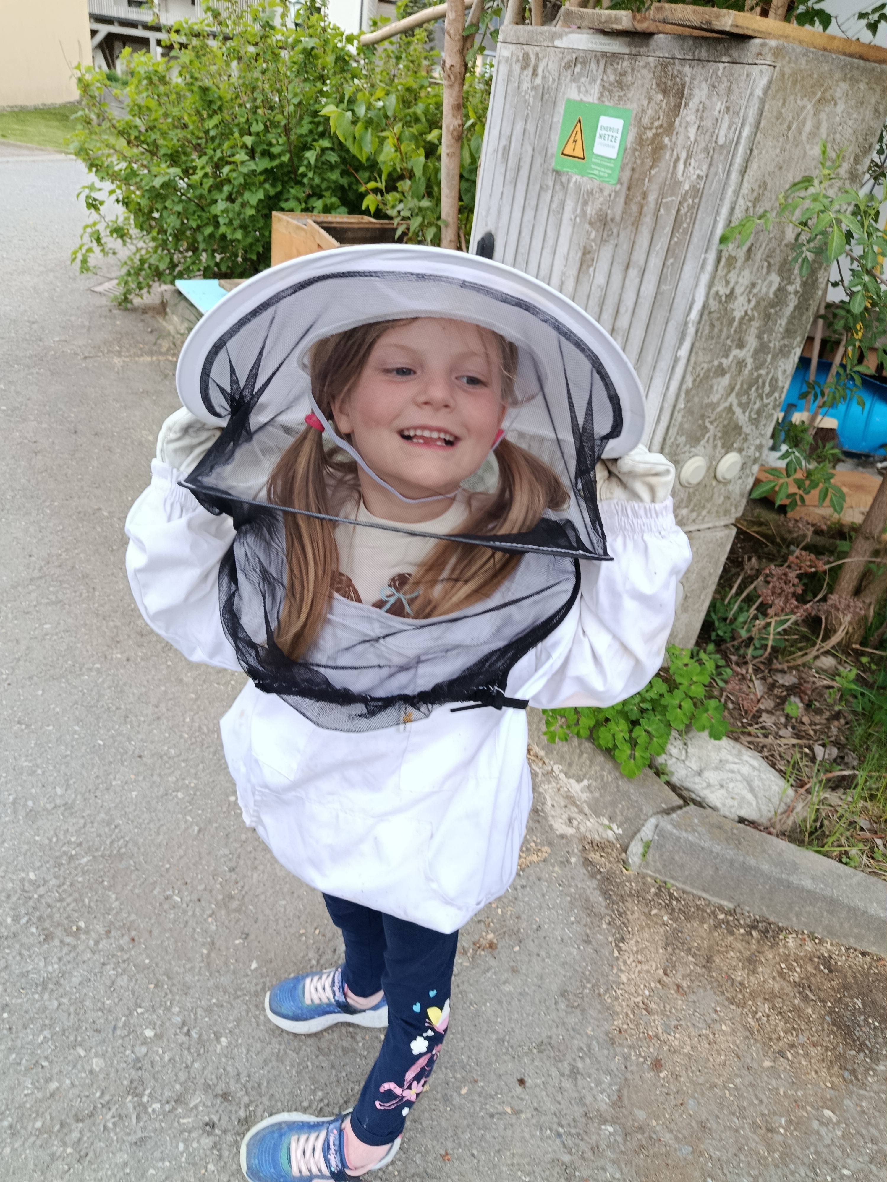 Bienenarbeiten im Mai und Juni Bild 3