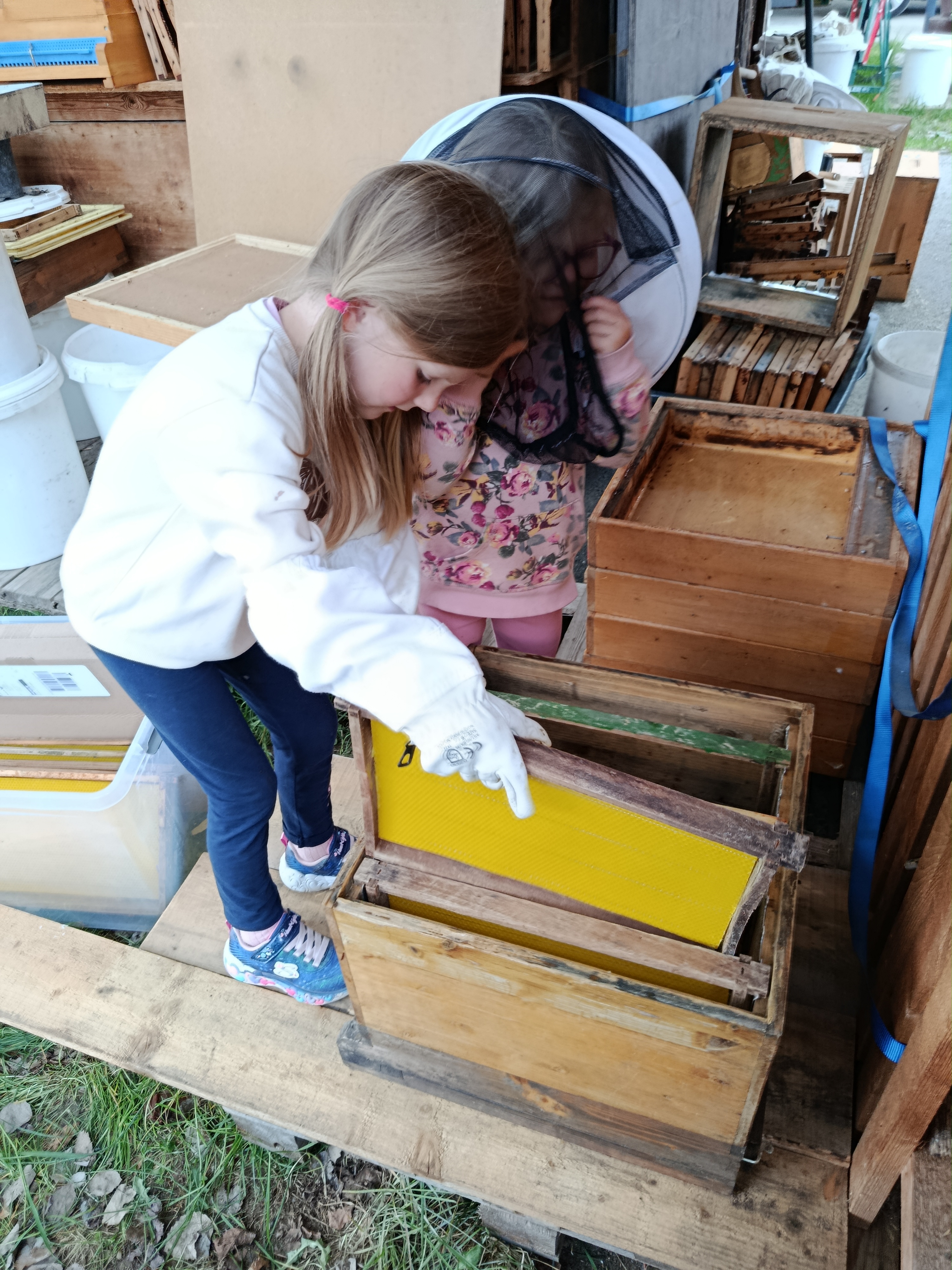 Bienenarbeiten im Mai