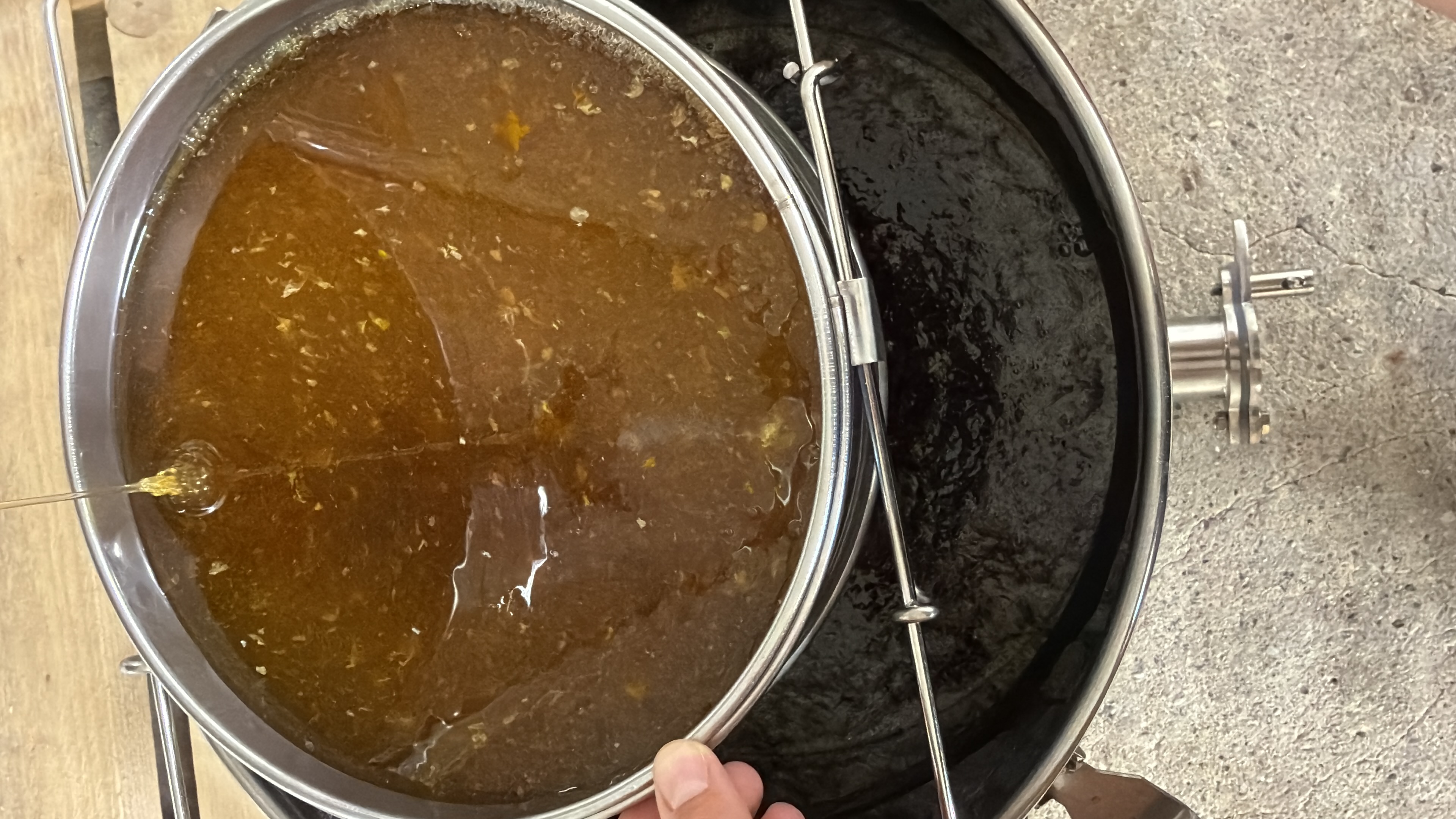 Die Honigernte – Der süße Lohn der Bienenarbeit 🐝🍯
