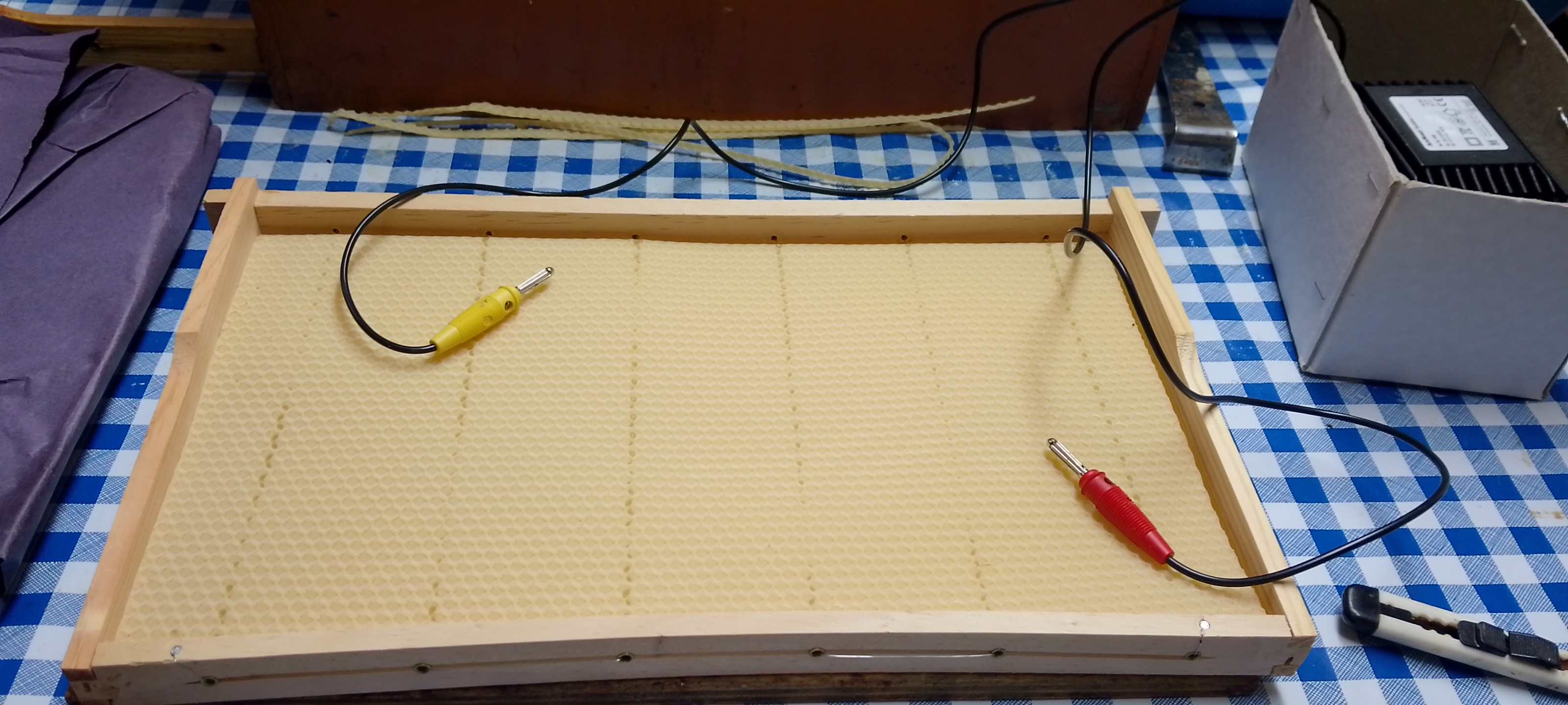 Bienenpflege im Juni Bild 1