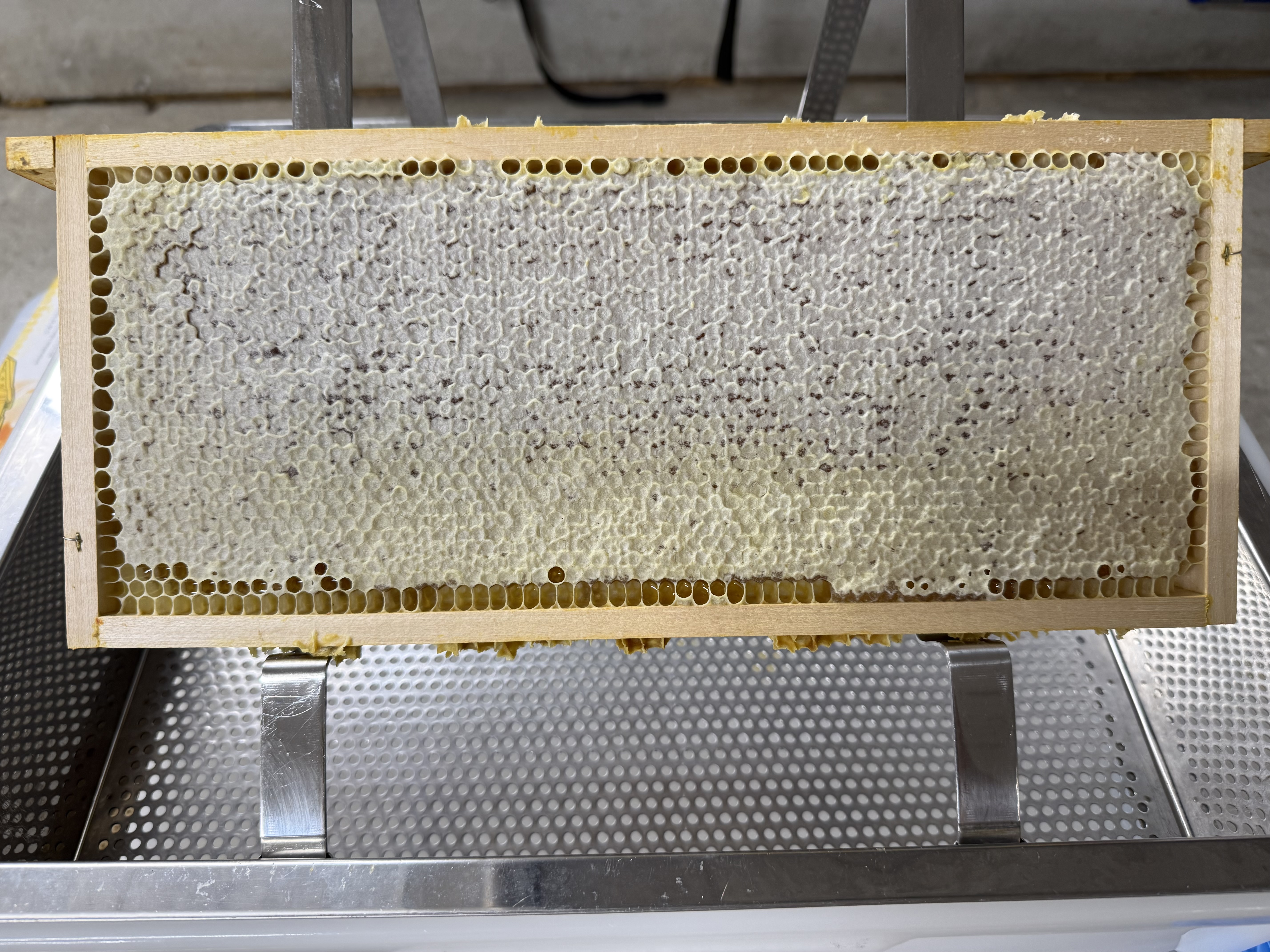 Abgeschlossene Honigernte. 🐝🍯