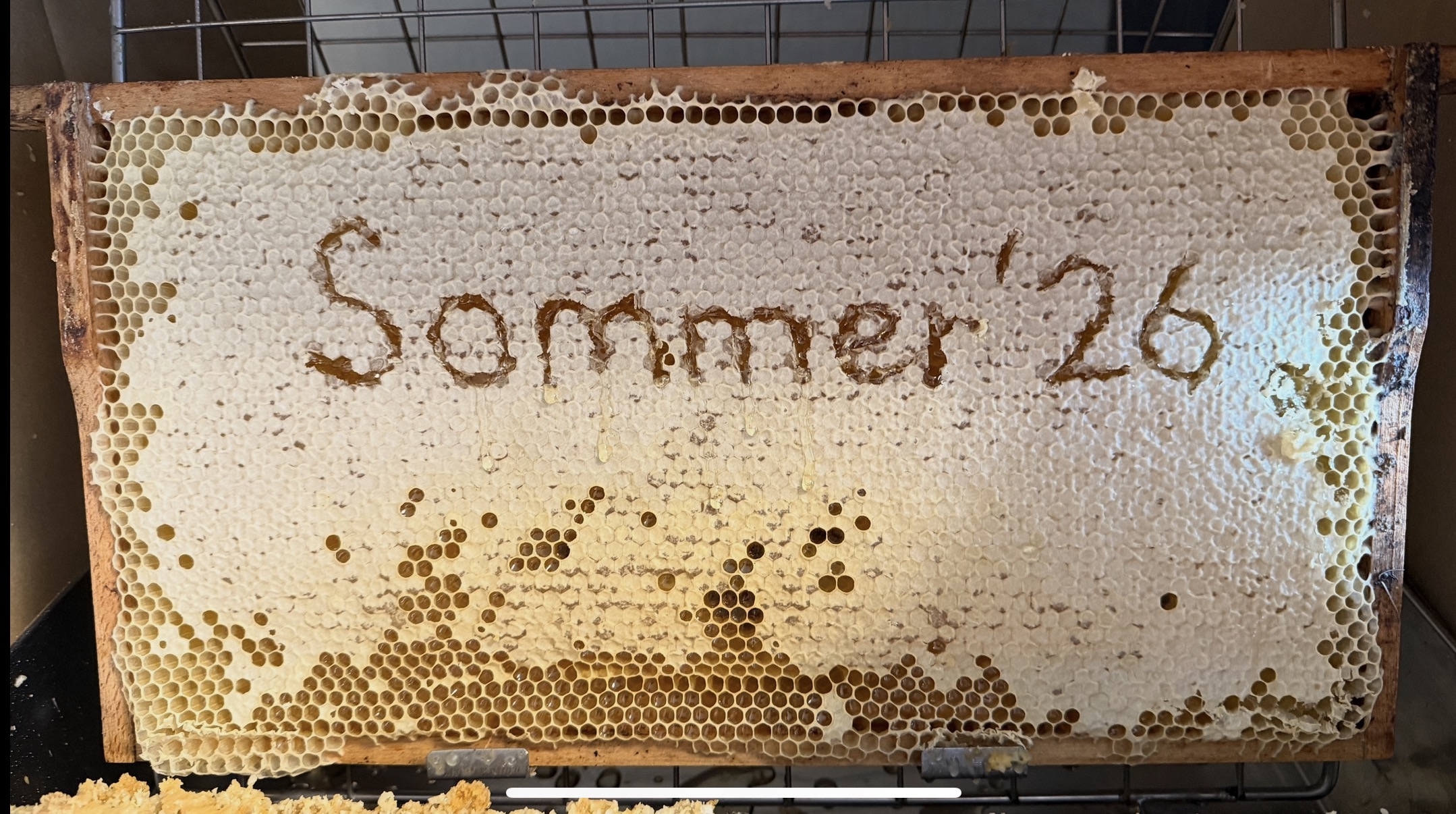 Sommertracht geerntet – jetzt beginnt die Zeit der Räuberei
