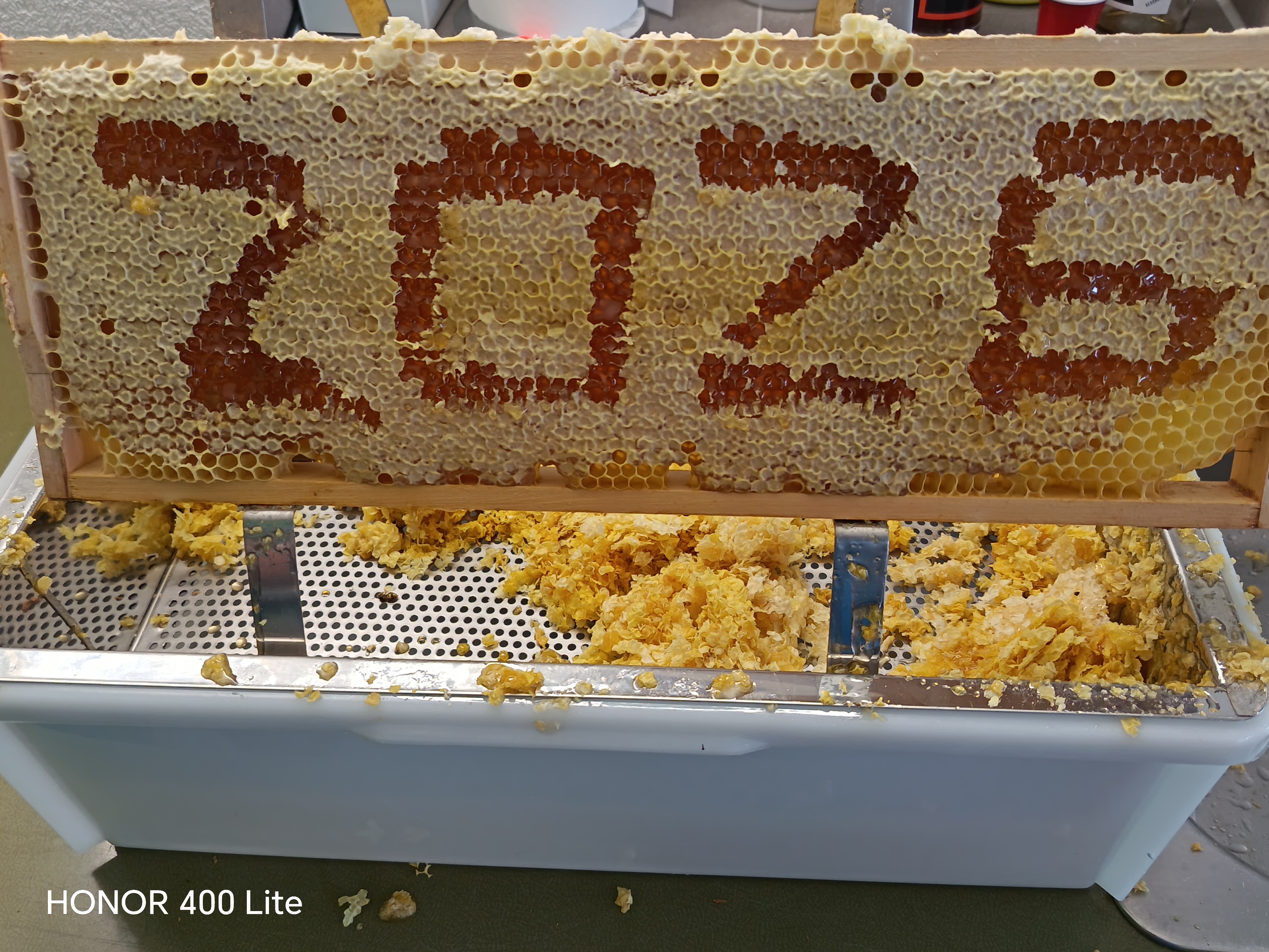 Sommerarbeiten am Bienenstand Bild 2