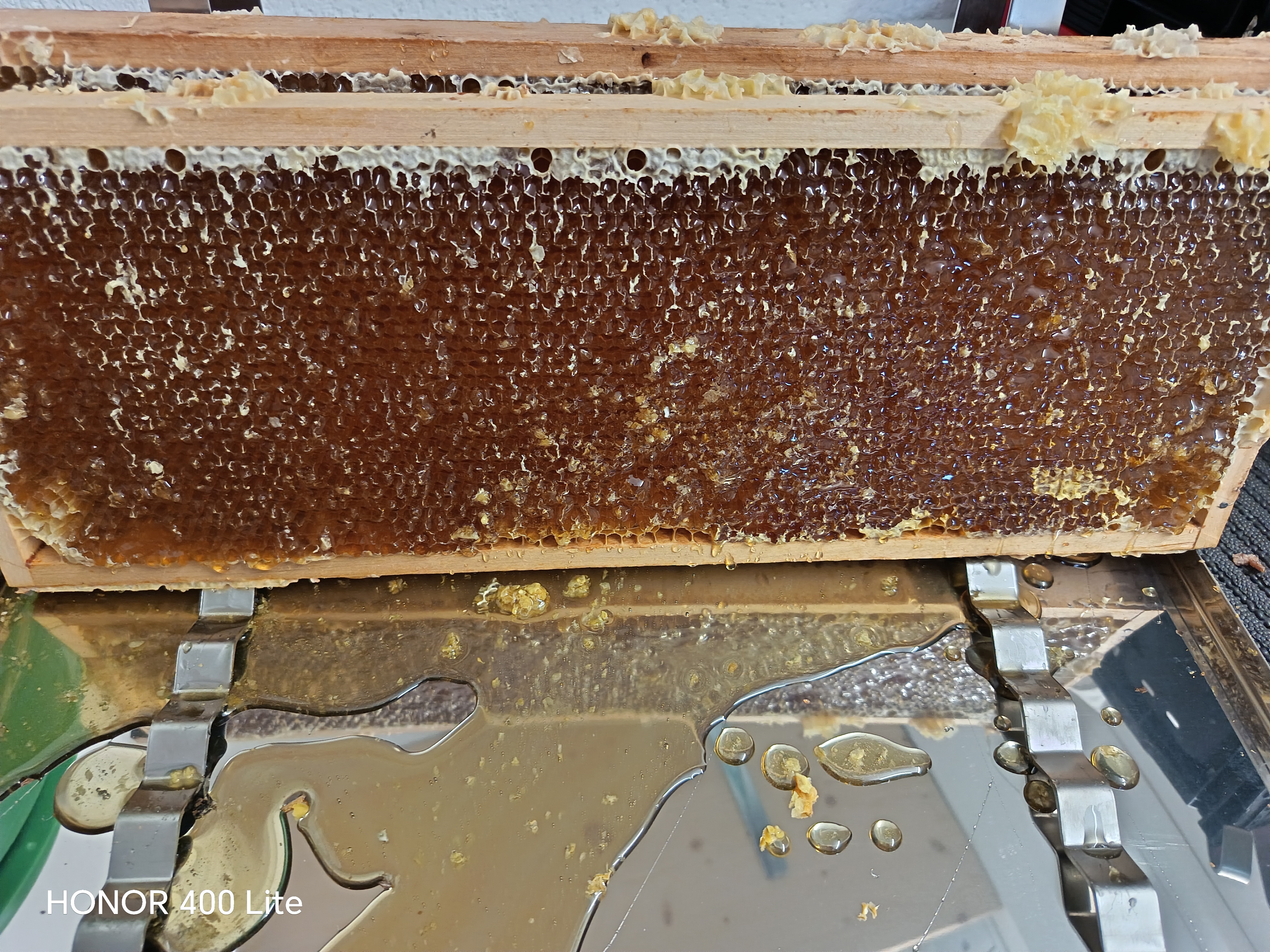 Sommerarbeiten am Bienenstand Bild 3