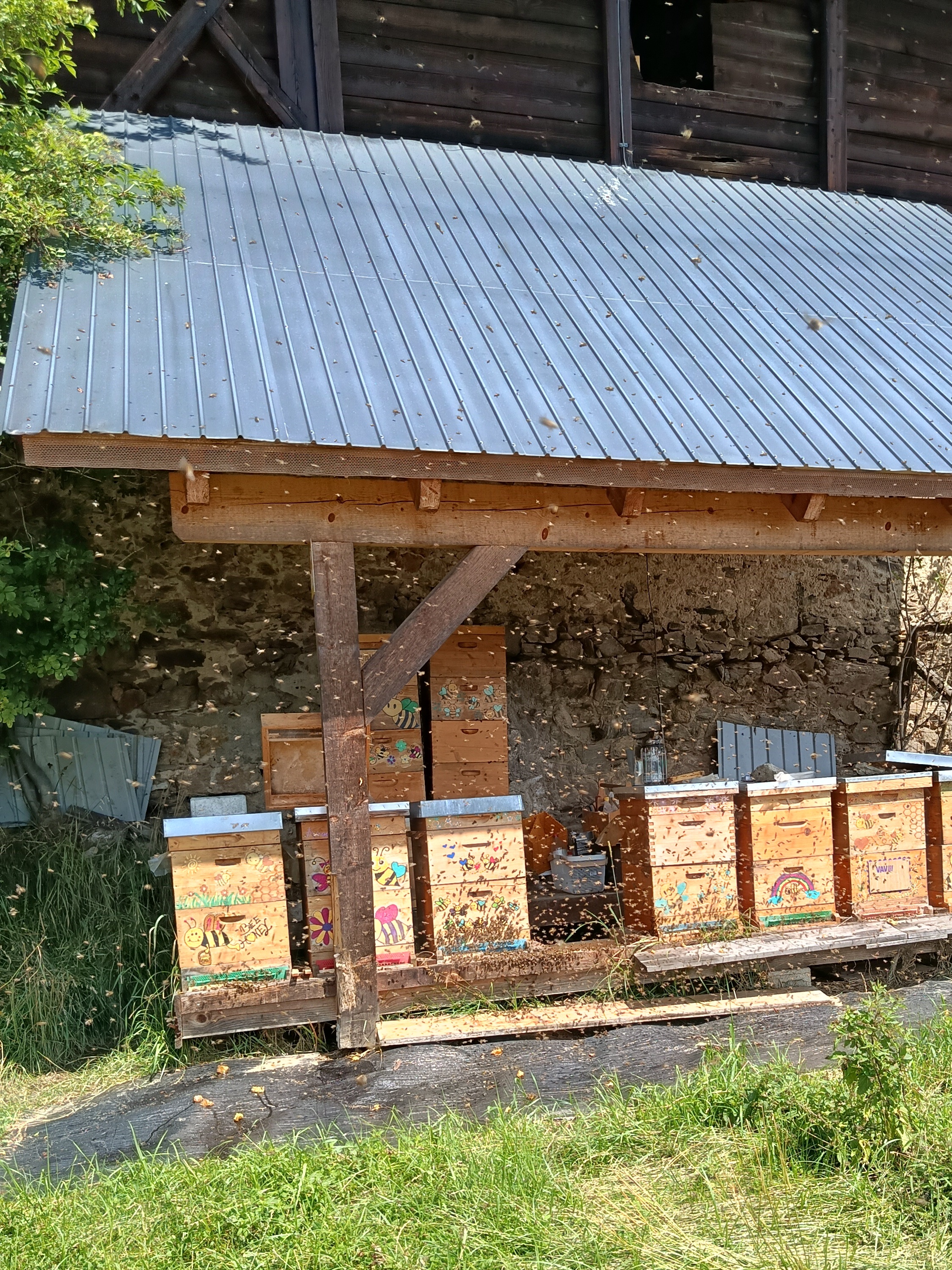 Bienenarbeiten im August 🐝🌸🐝 Bild 2