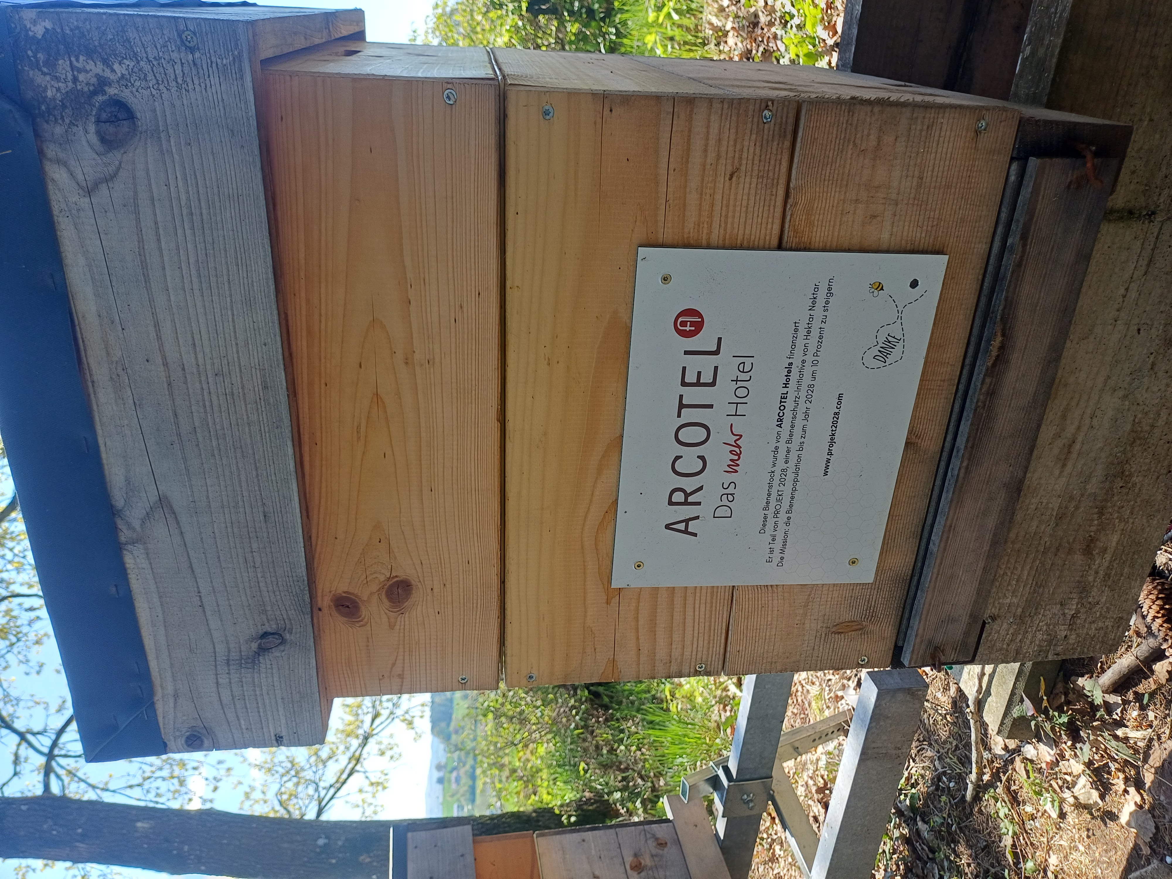 August – das Bienenjahr neigt sich dem Ende zu. Bild 3