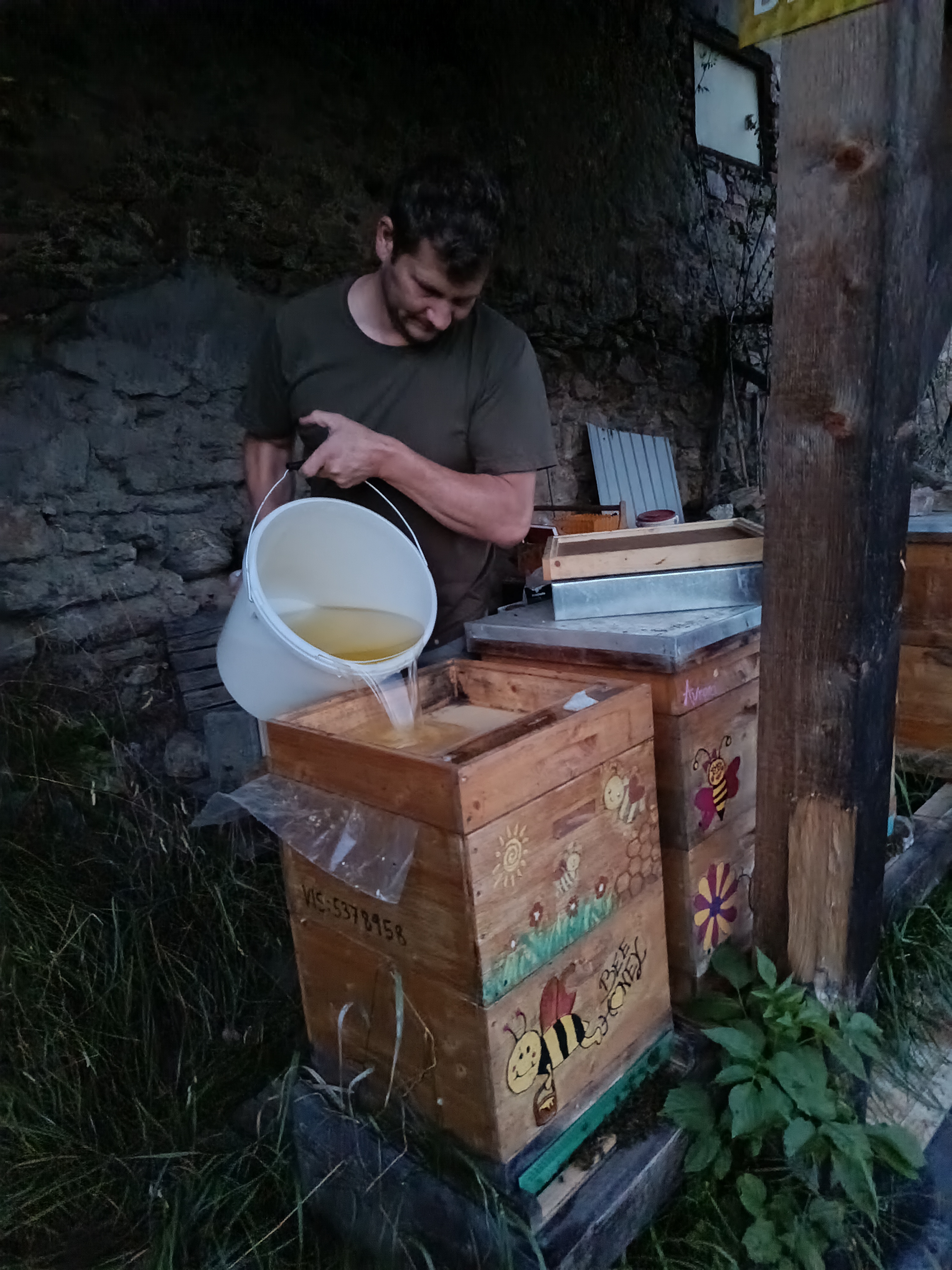 Bienenarbeiten im September 🐝 🌸 🐝
