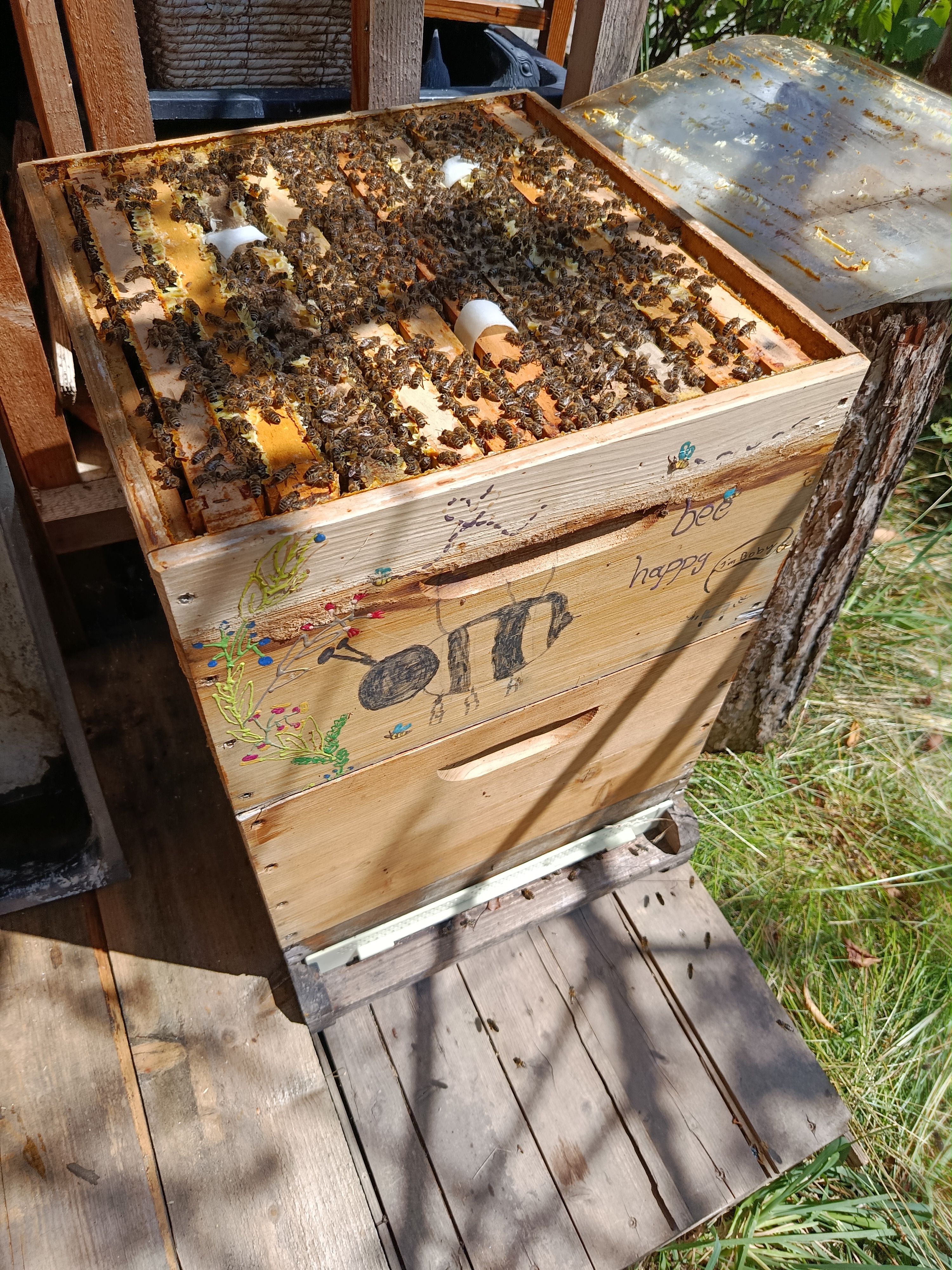 Bienenarbeiten im August 🐝🌸🐝