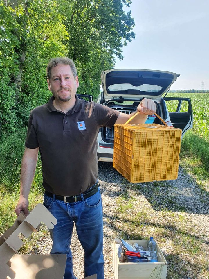 Es ist soweit die Bienen ziehen ein :-D Bild 1