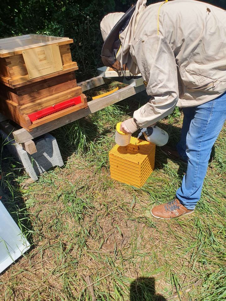 Es ist soweit die Bienen ziehen ein :-D Bild 3