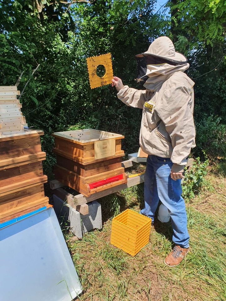 Es ist soweit die Bienen ziehen ein :-D Bild 4