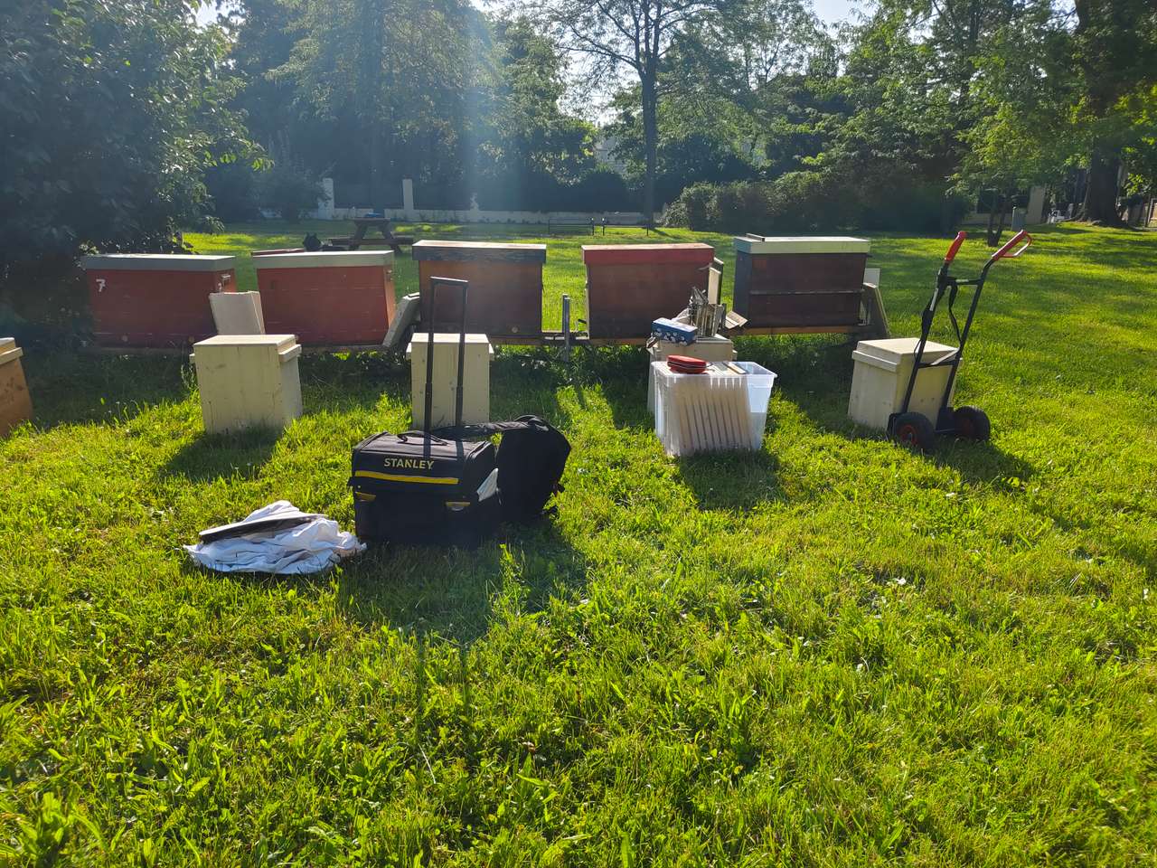 Die Früchte eines Arbeitsjahres Bild 1