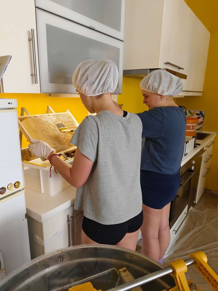 Die Früchte eines Arbeitsjahres Bild 3