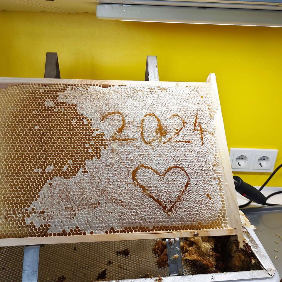 Die Früchte eines Arbeitsjahres Bild 4