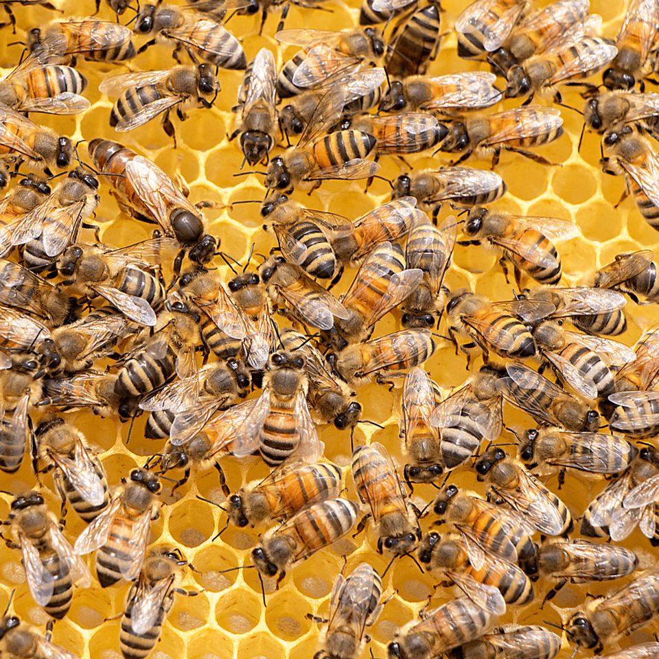 Februar: Die Tage werden länger