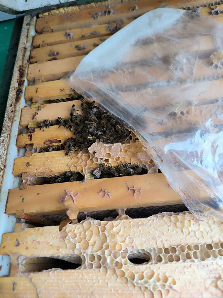 Der Winter lässt warten