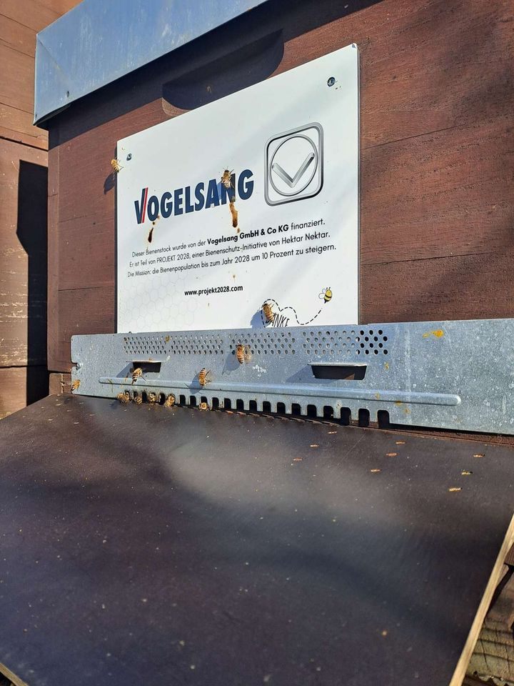 Erste Pollen und Nektar Bild 2