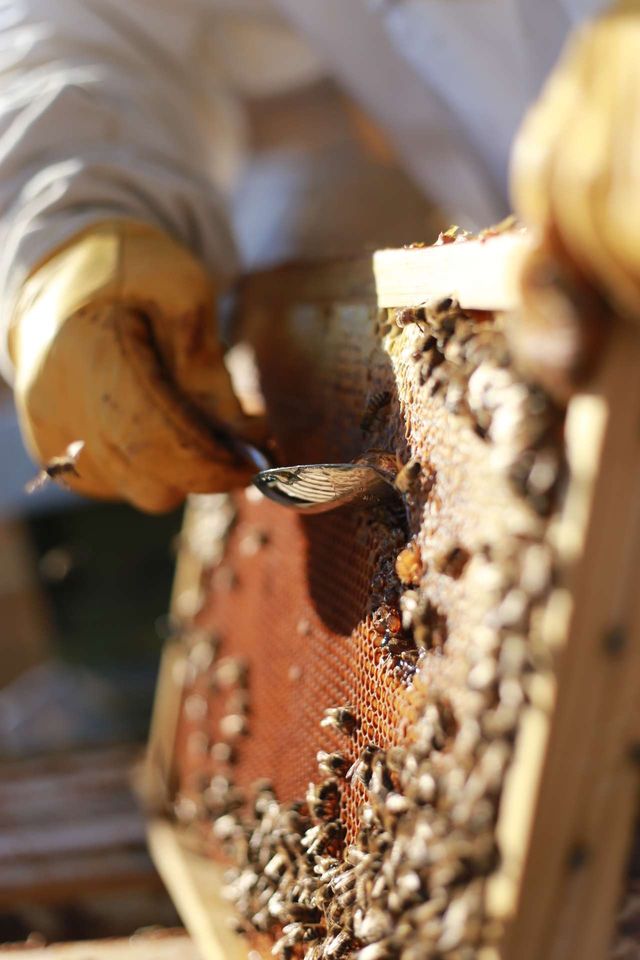 Futterkranzproben Bild 1