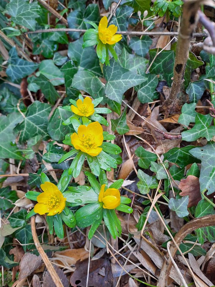 Reinigungsflug Bild 1