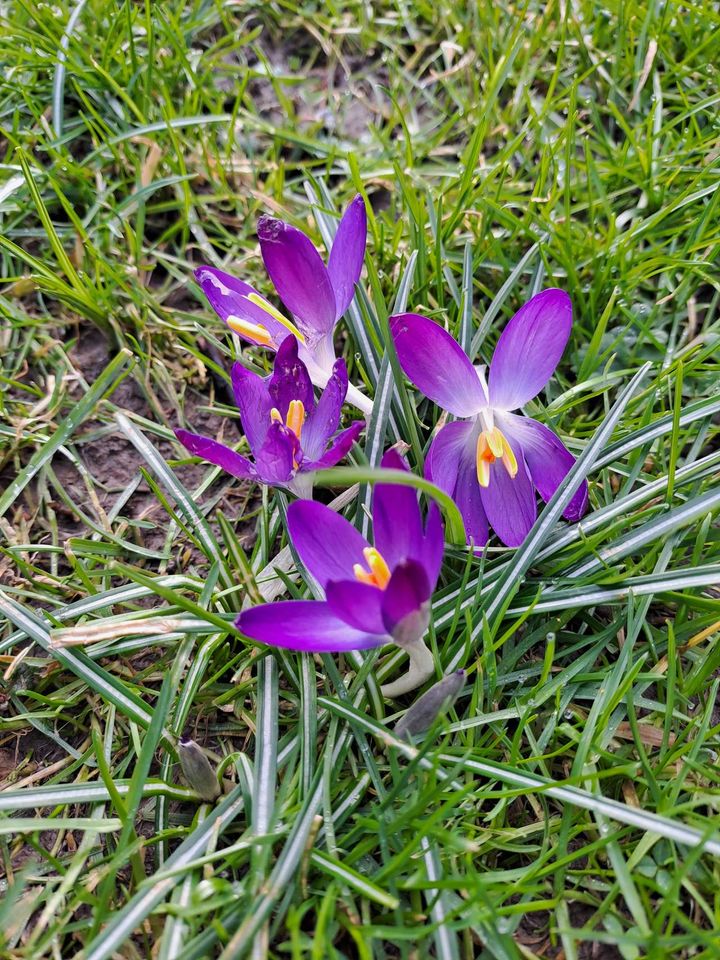 Reinigungsflug Bild 2