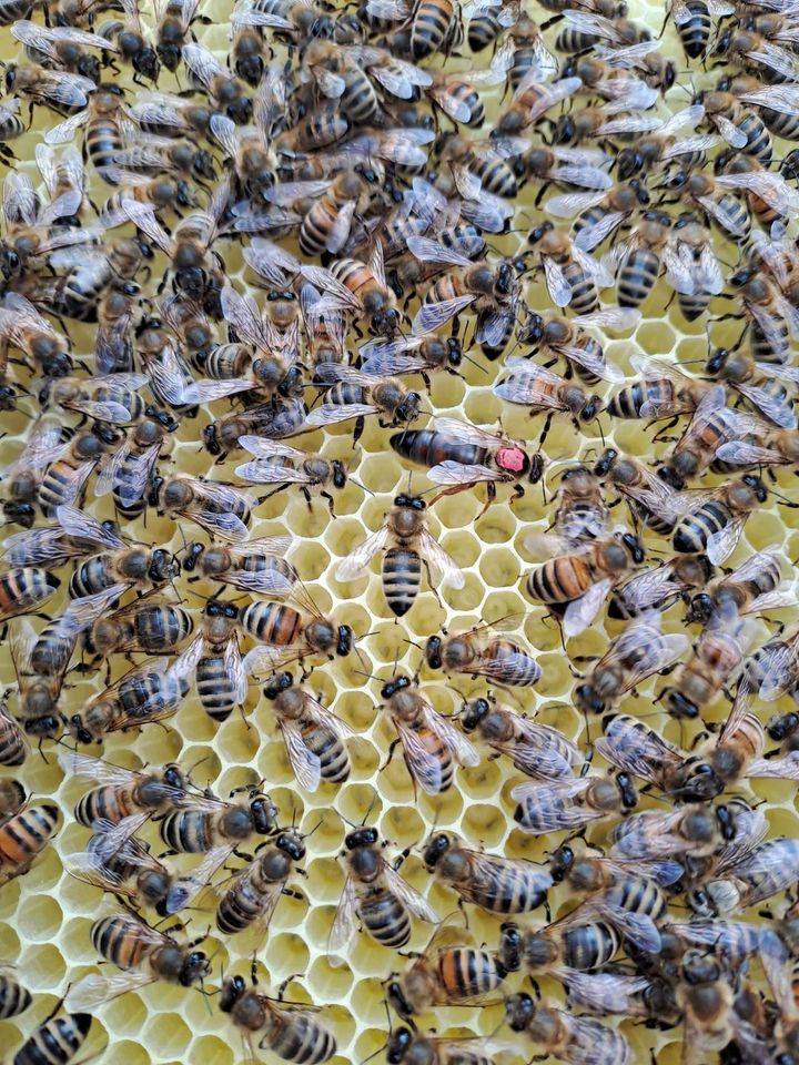 Eingelebt und angekommen